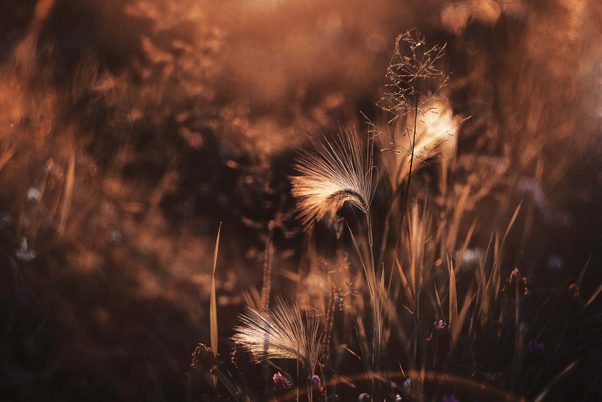 Фотошкола и фотокурсы в Абакане