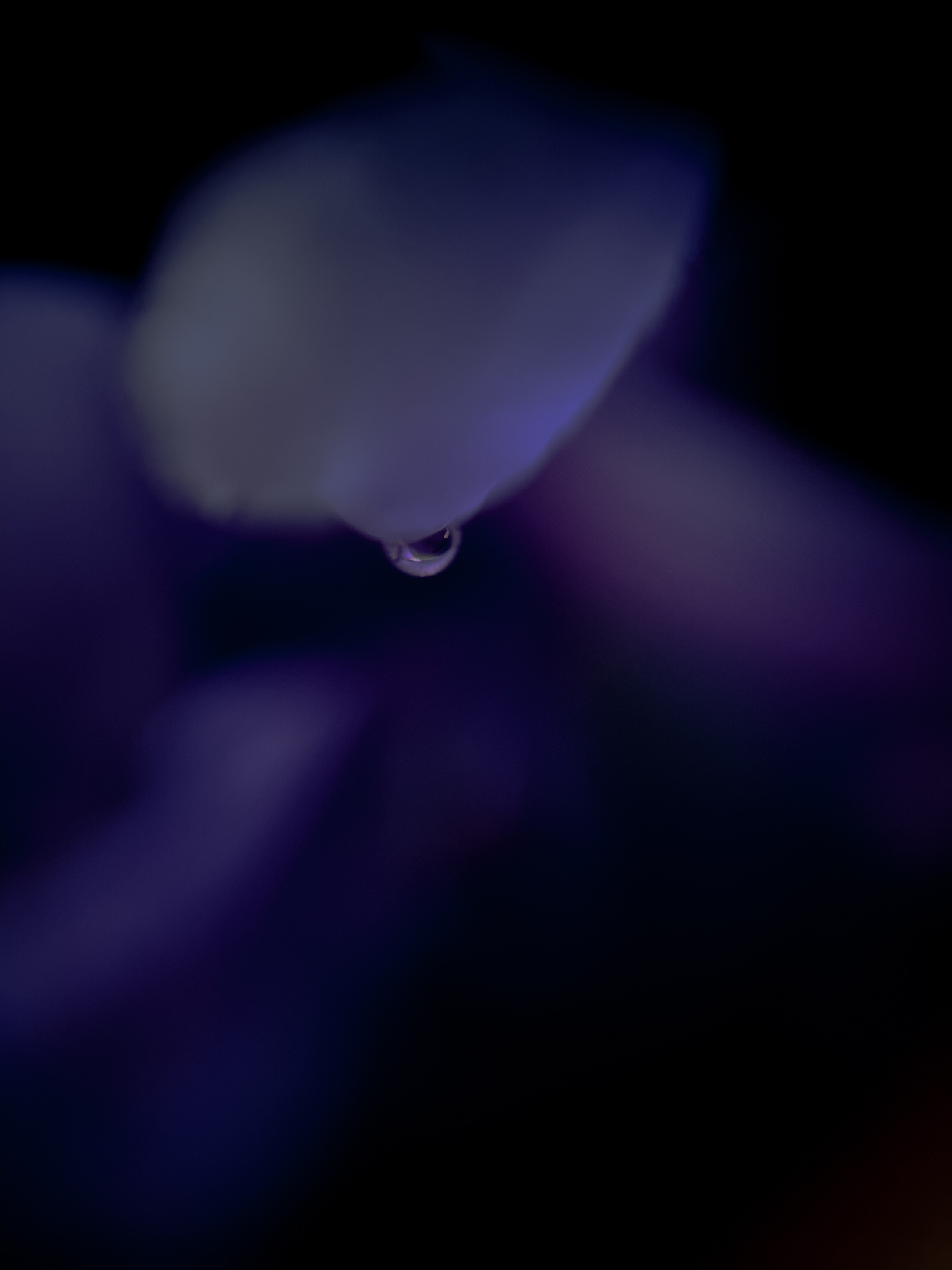 Фотограф из Санкт-Петербурга/Катерина Зайцева