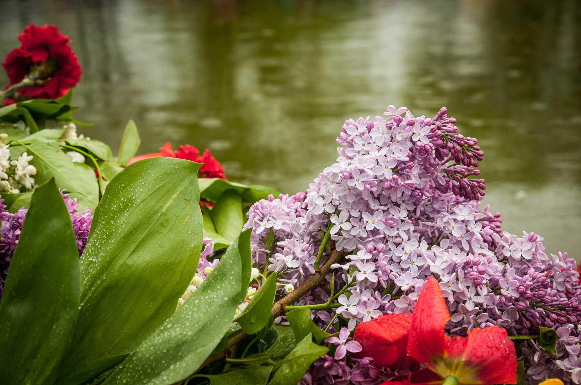 Цветы лежат у кромки бассейна памятника на Мамаевом кургане