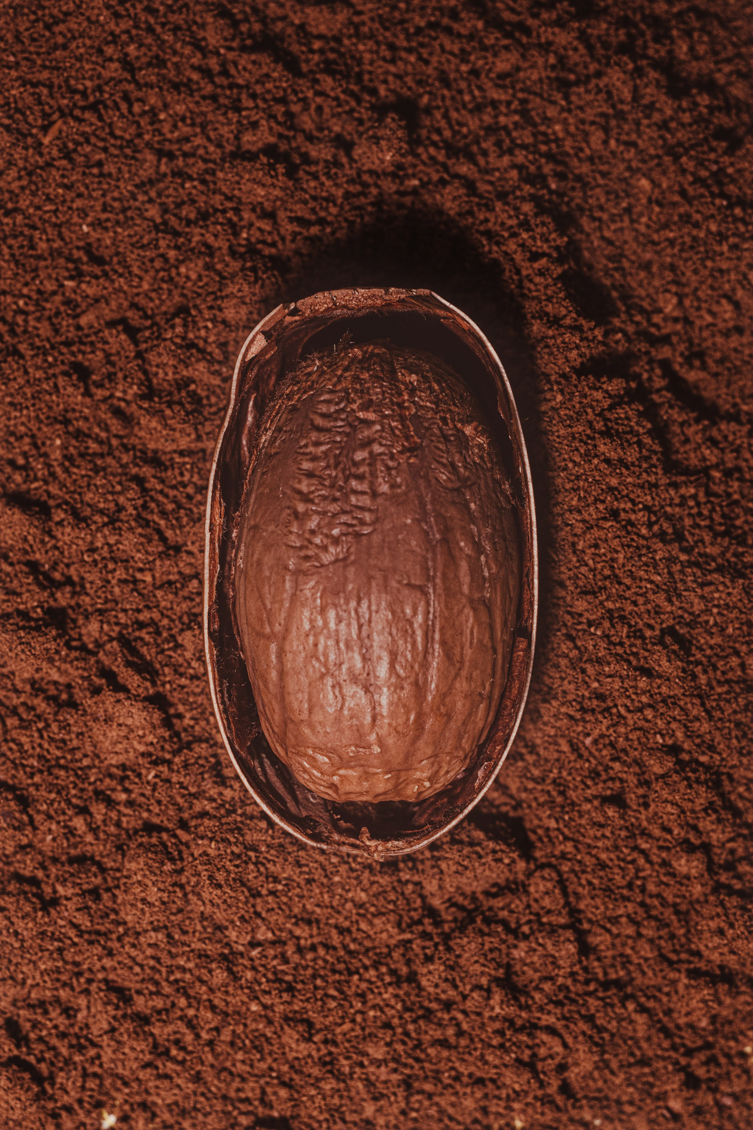 Авторские стили в фотографии. Рекламный и коммерческий фотограф | Георгий Романов