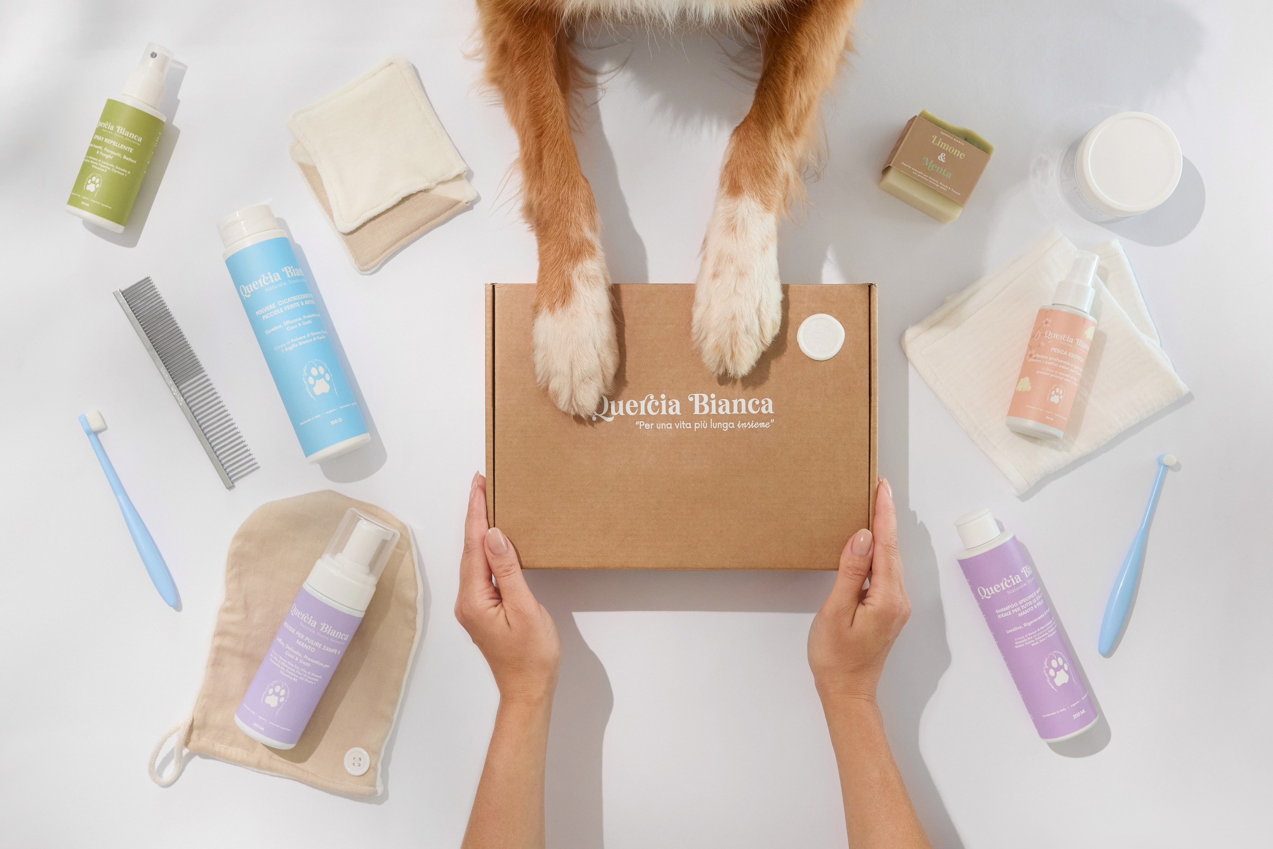 Pet Advertising Photography | Commercial Shoots with Dogs & Cats. Dog photographer Averianova Anna — Art photography of dogs