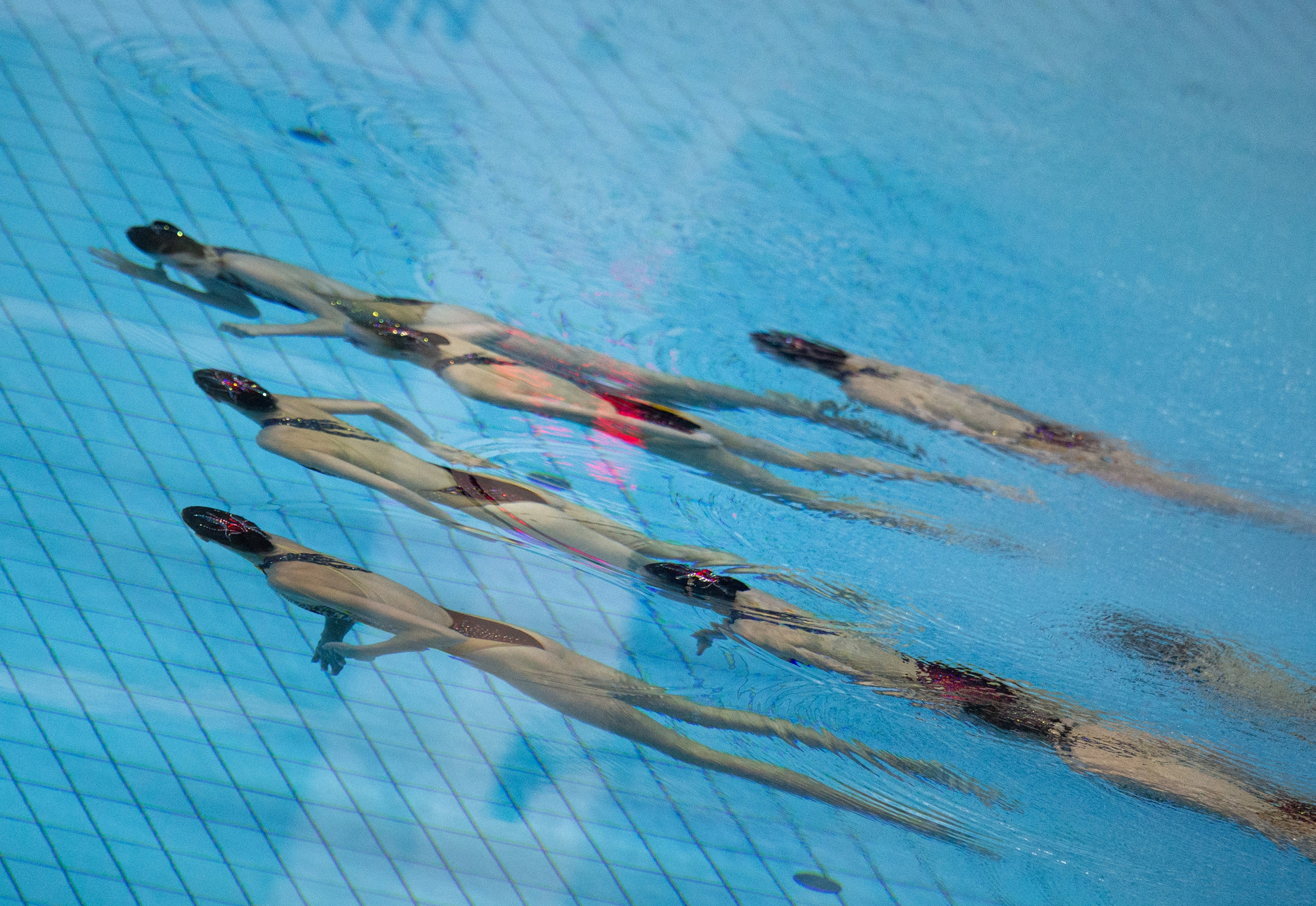 Кардиограмма. Фотограф Анна Зиновьева