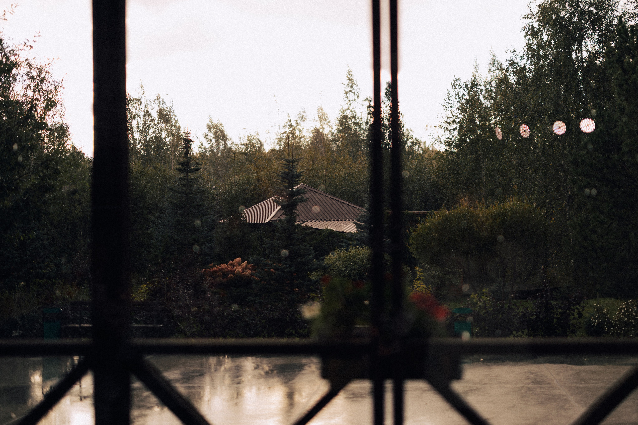 Лето, дождь, любовь ♡. Daria Chigintseva Photographer
