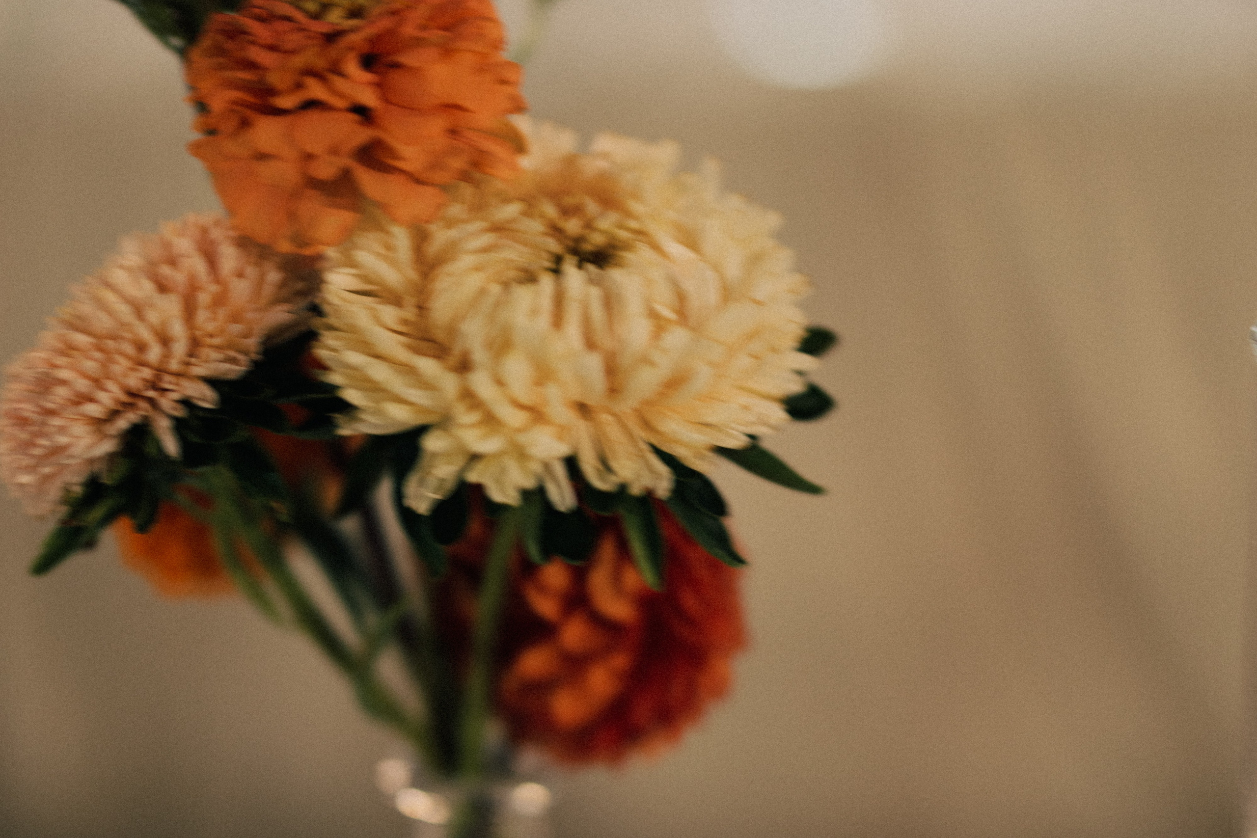 Лето, дождь, любовь ♡. Daria Chigintseva Photographer