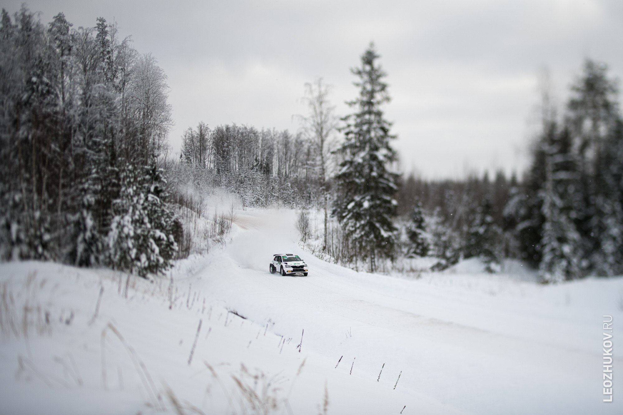 Rally Suvorov 2026. Sports photographer Leonid Zhukov