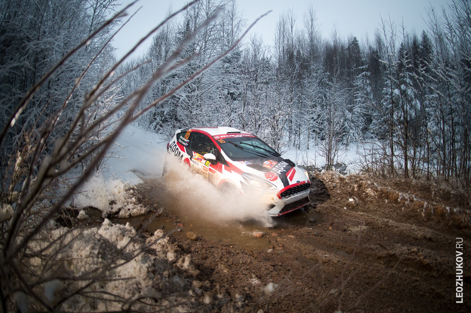 Rally Vyborg 2024. Sports photographer Leonid Zhukov
