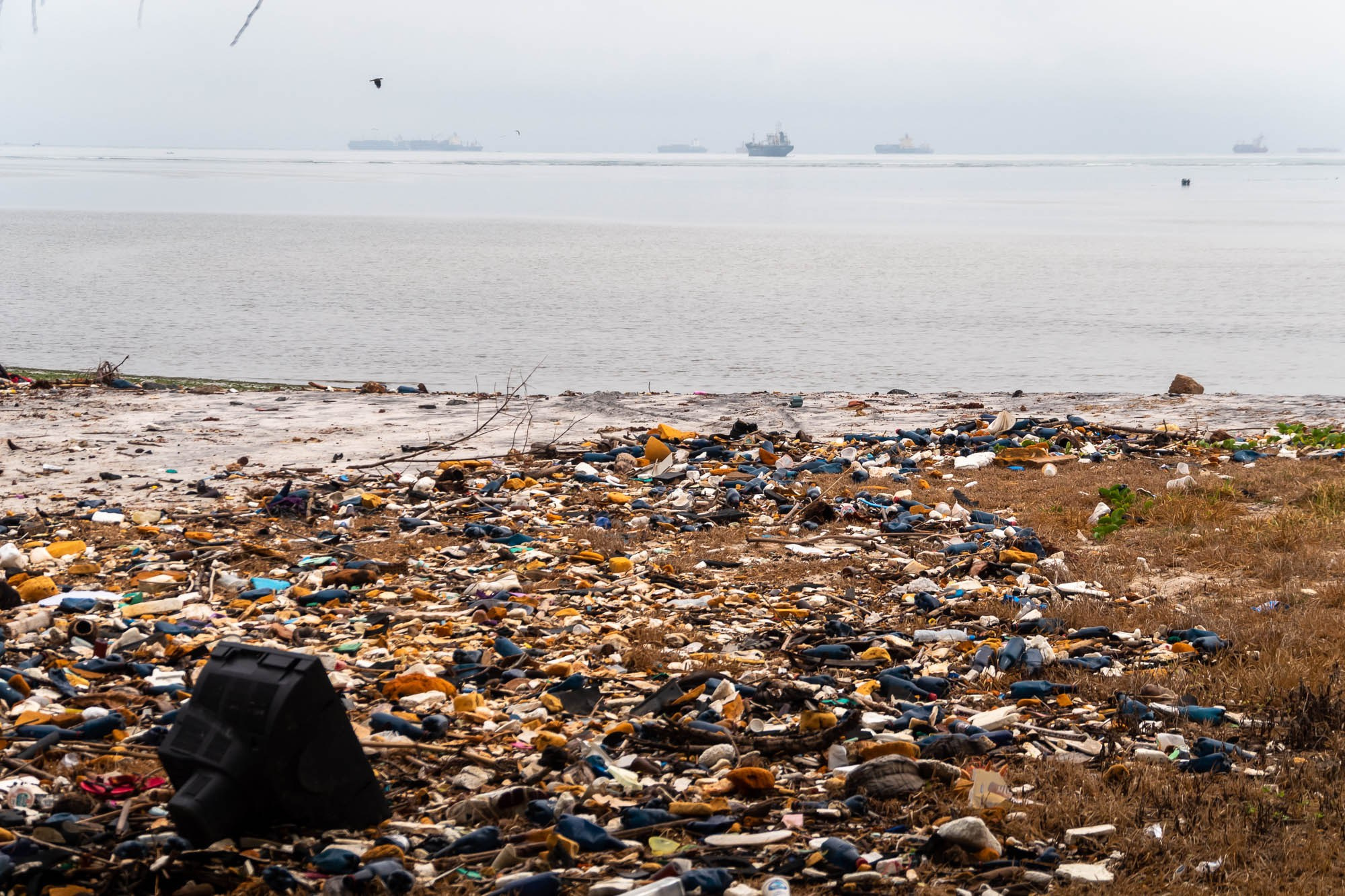 Танзания, Дар эс Салам. Tanzania, Dar es Salaam. Фотограф Алексей Скоробогатько