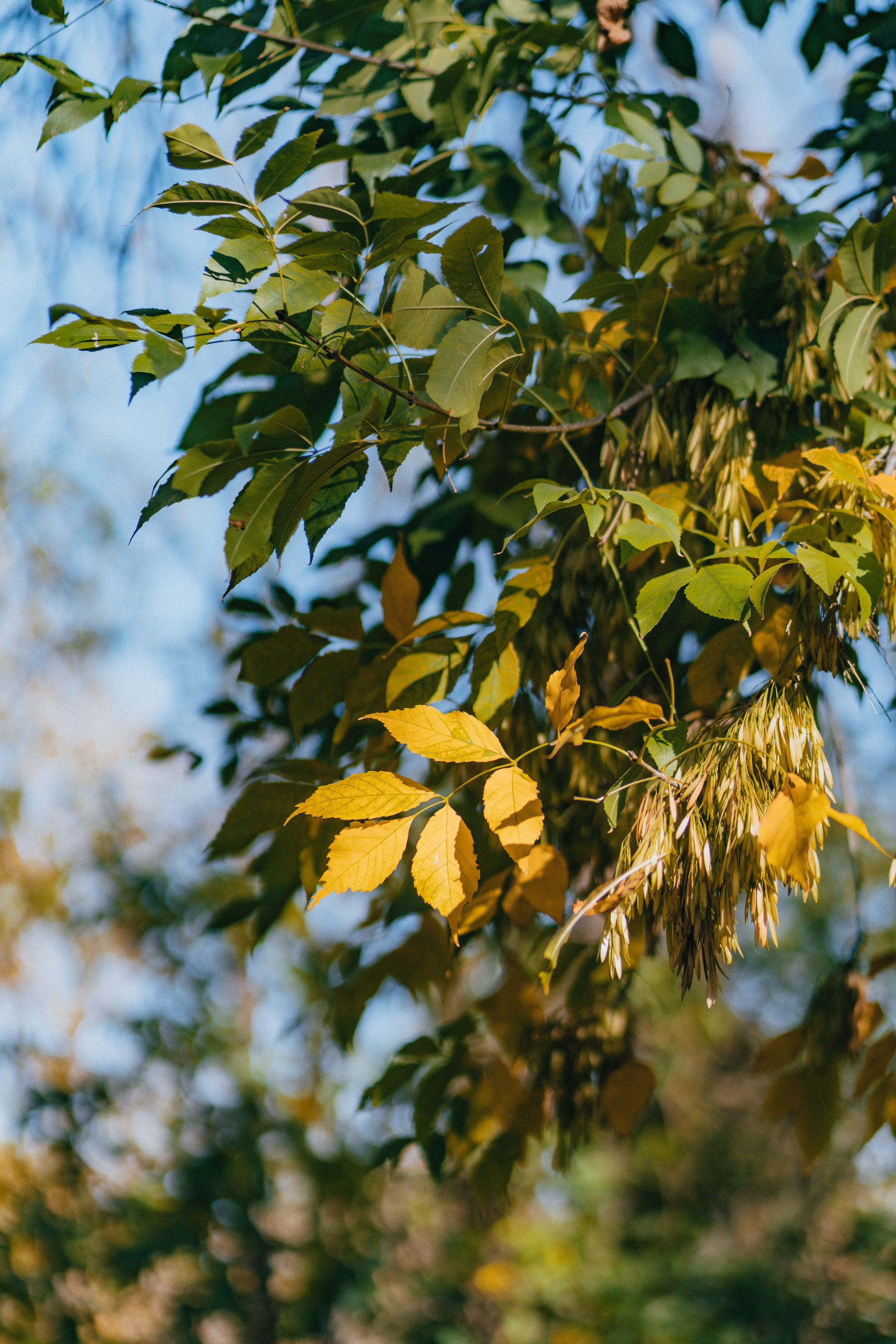 Всемирный день чистоты. Артём Панфилов — Свадебный и семейный фотограф в Ростове-на-Дону