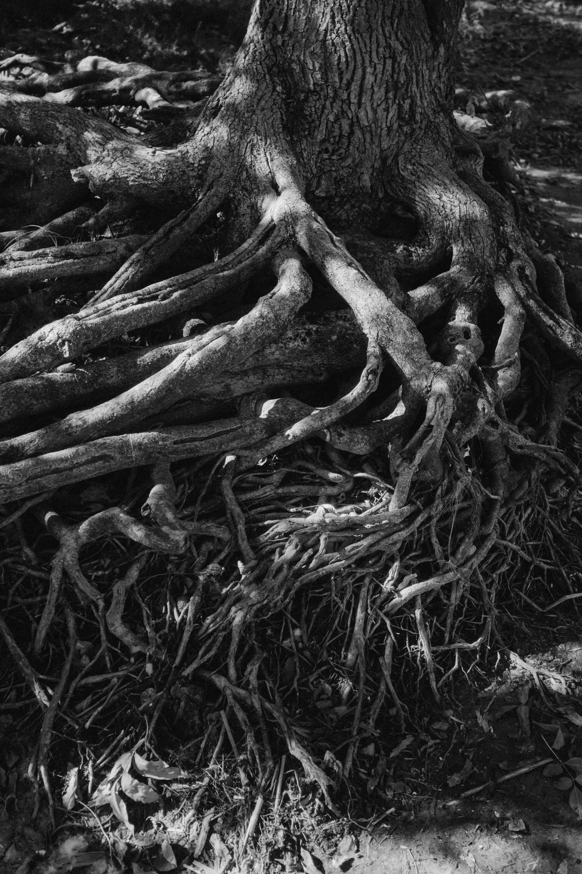 Всемирный день чистоты. Артём Панфилов — Свадебный и семейный фотограф в Ростове-на-Дону