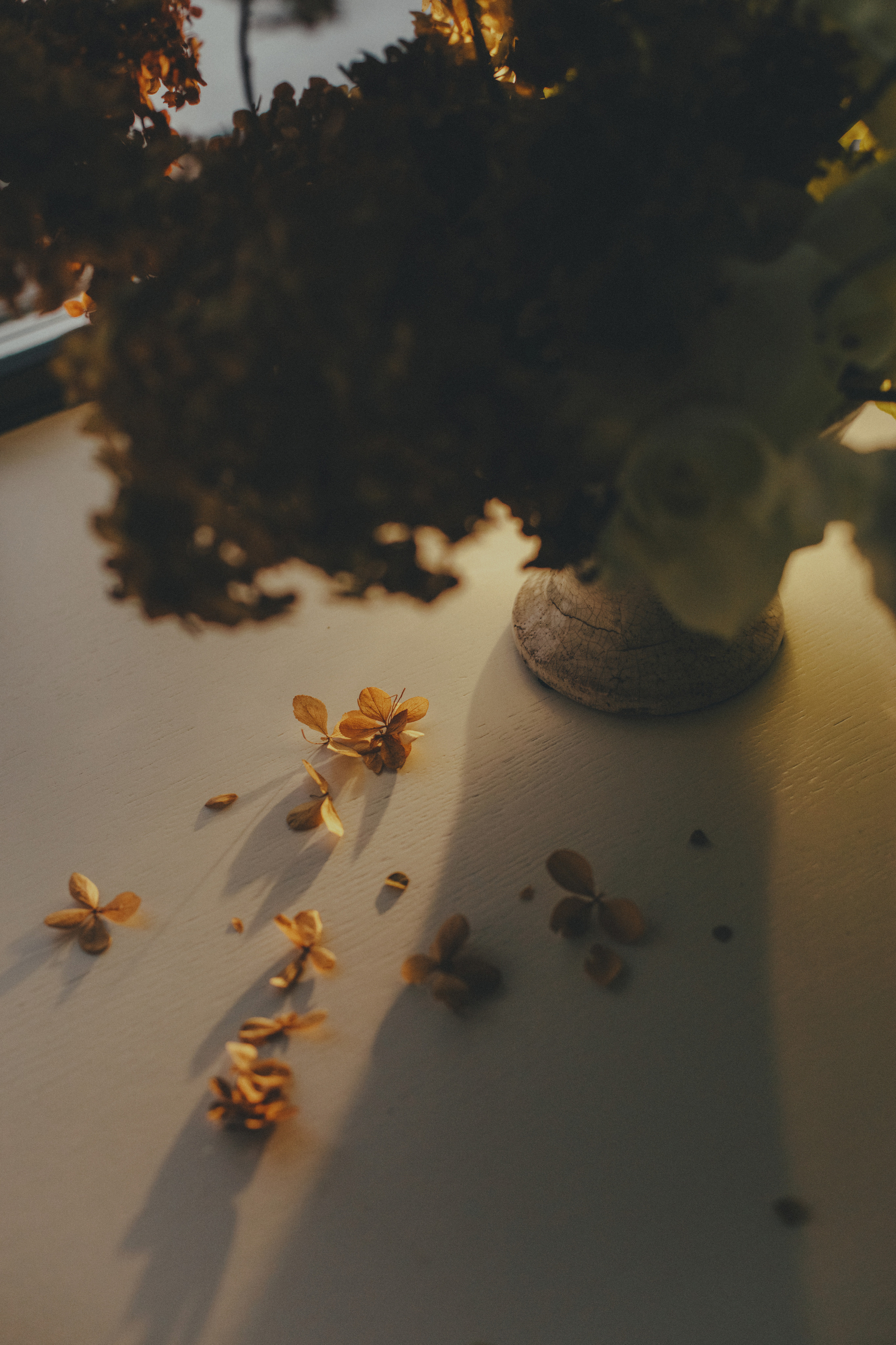 ДАША и МИША. Семейный, свадебный фотограф Минск Бобруйск Алла Сказова