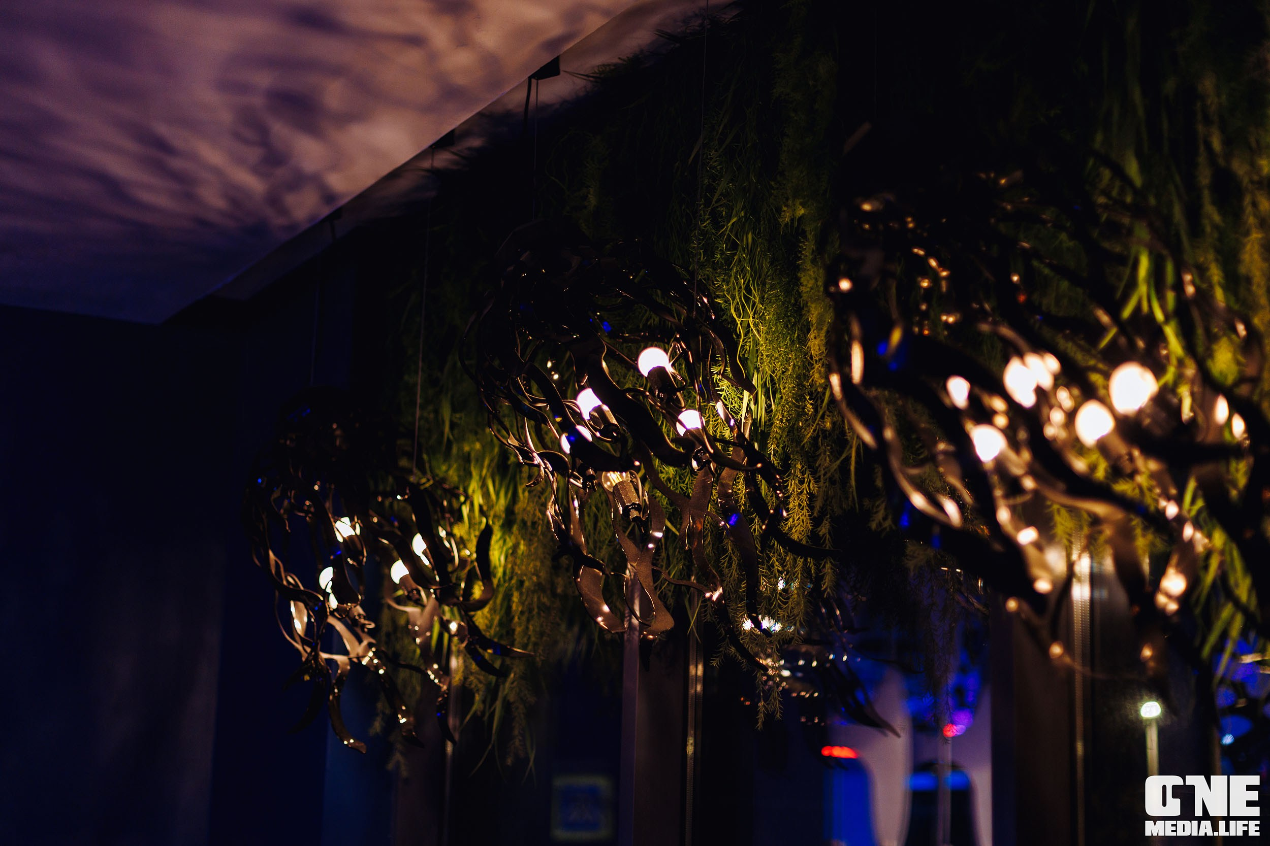 Фоторепортаж из ресторана Океан. One Media Life: фоторепортажи, фотоотчеты с мероприятий и заведений