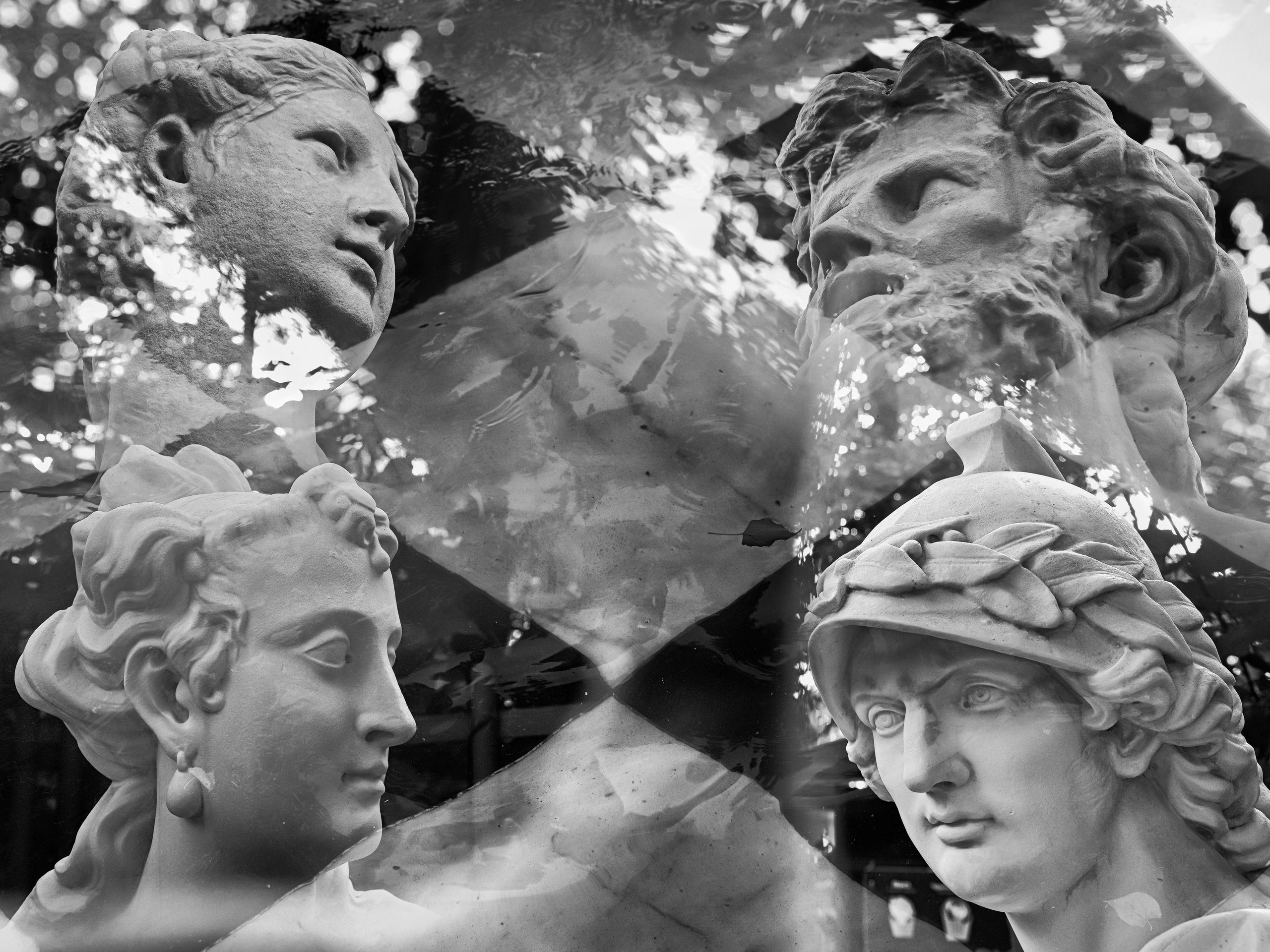 Dimitri Bakhtadze, cv. Dimitri Bakhtadze photographer