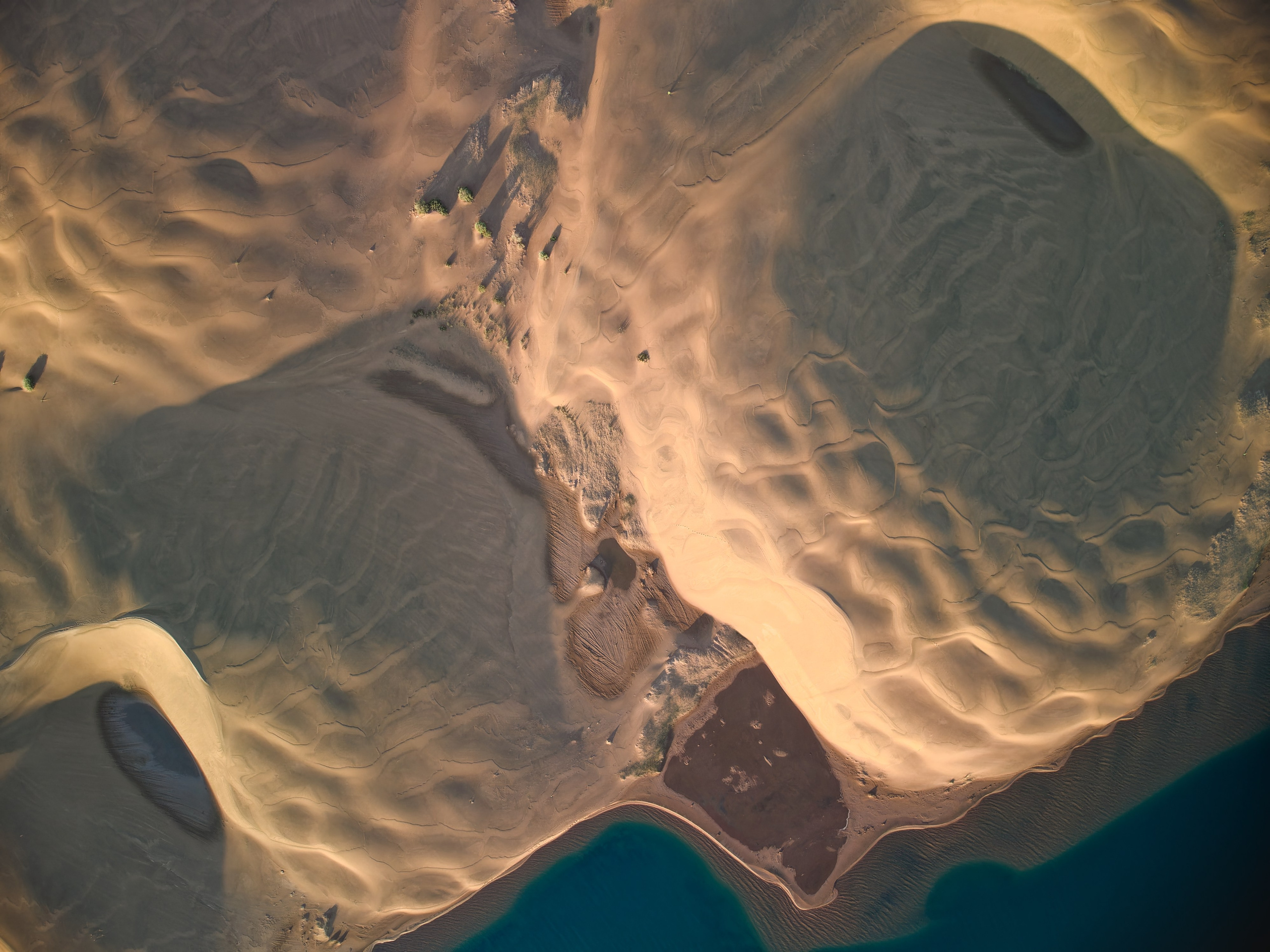 Экспедиция в Монголию (котловина больших озер). Семоха Валерий. Фотограф