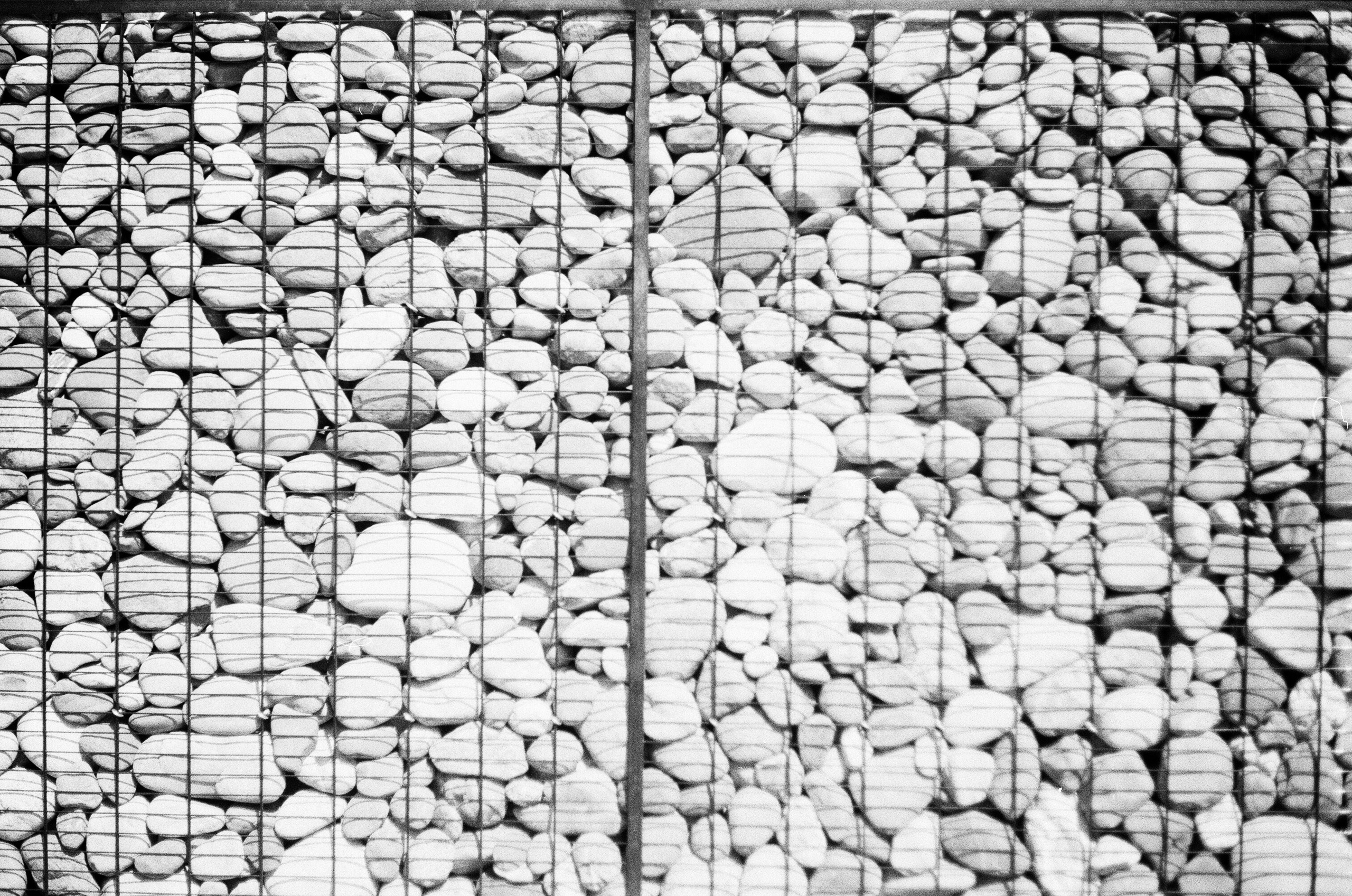 Altai \ august 2022 \ film. Коммерческий Фотограф Виктор Фоменых