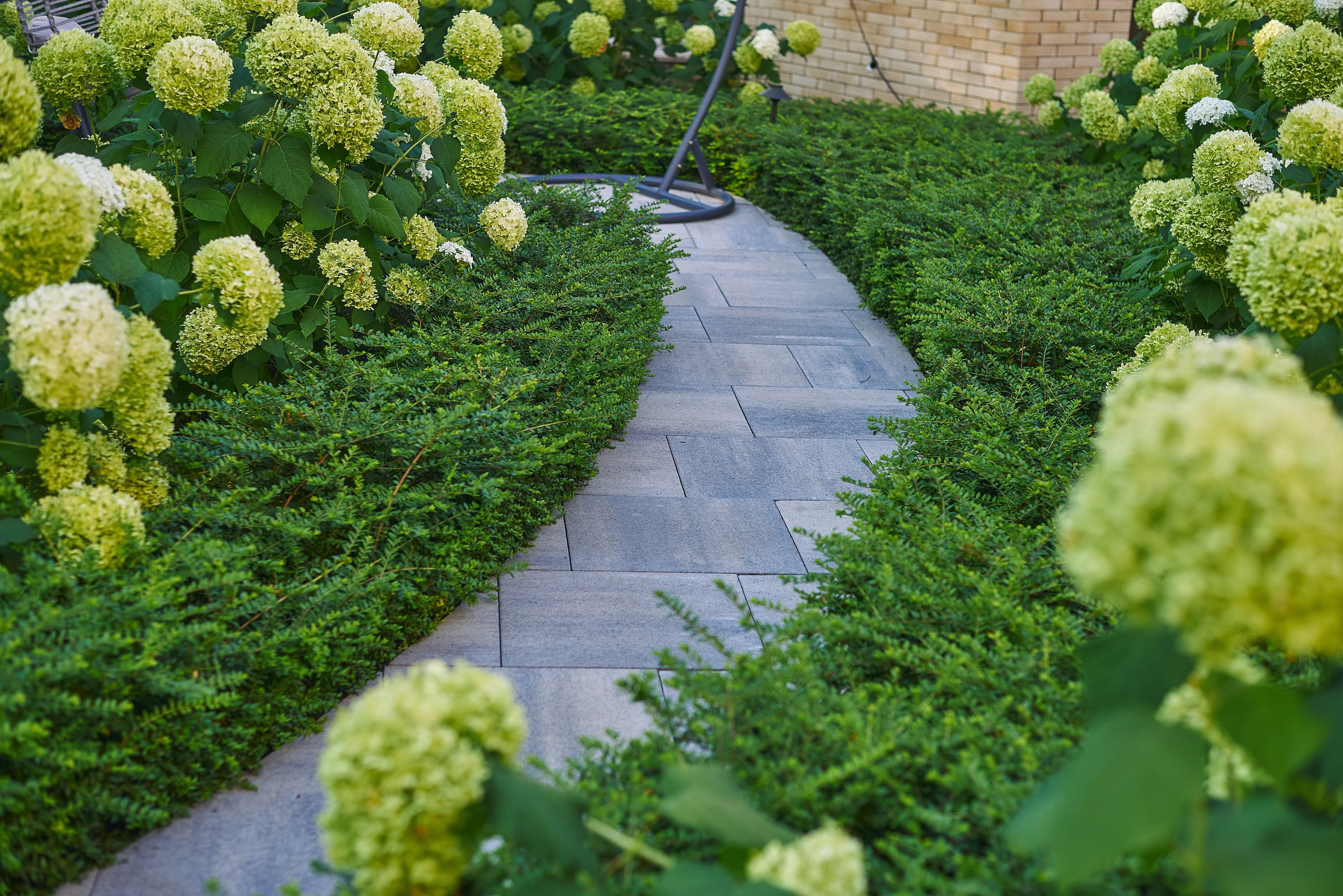 Фотограф Константин Кордонский