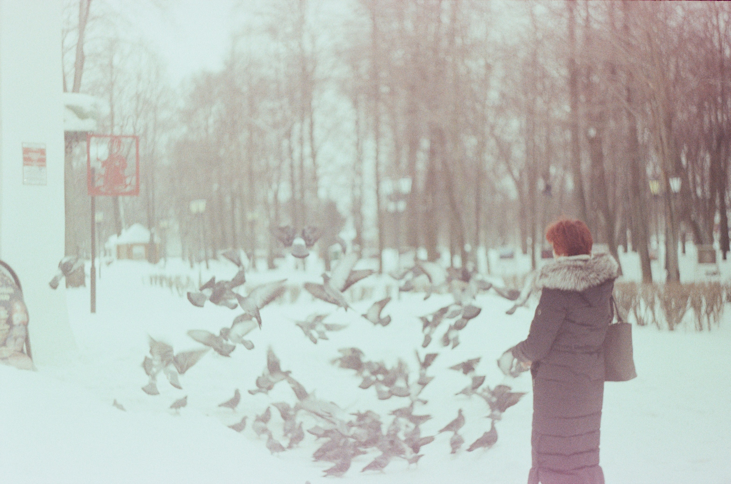 Автор: Александра Серебровская