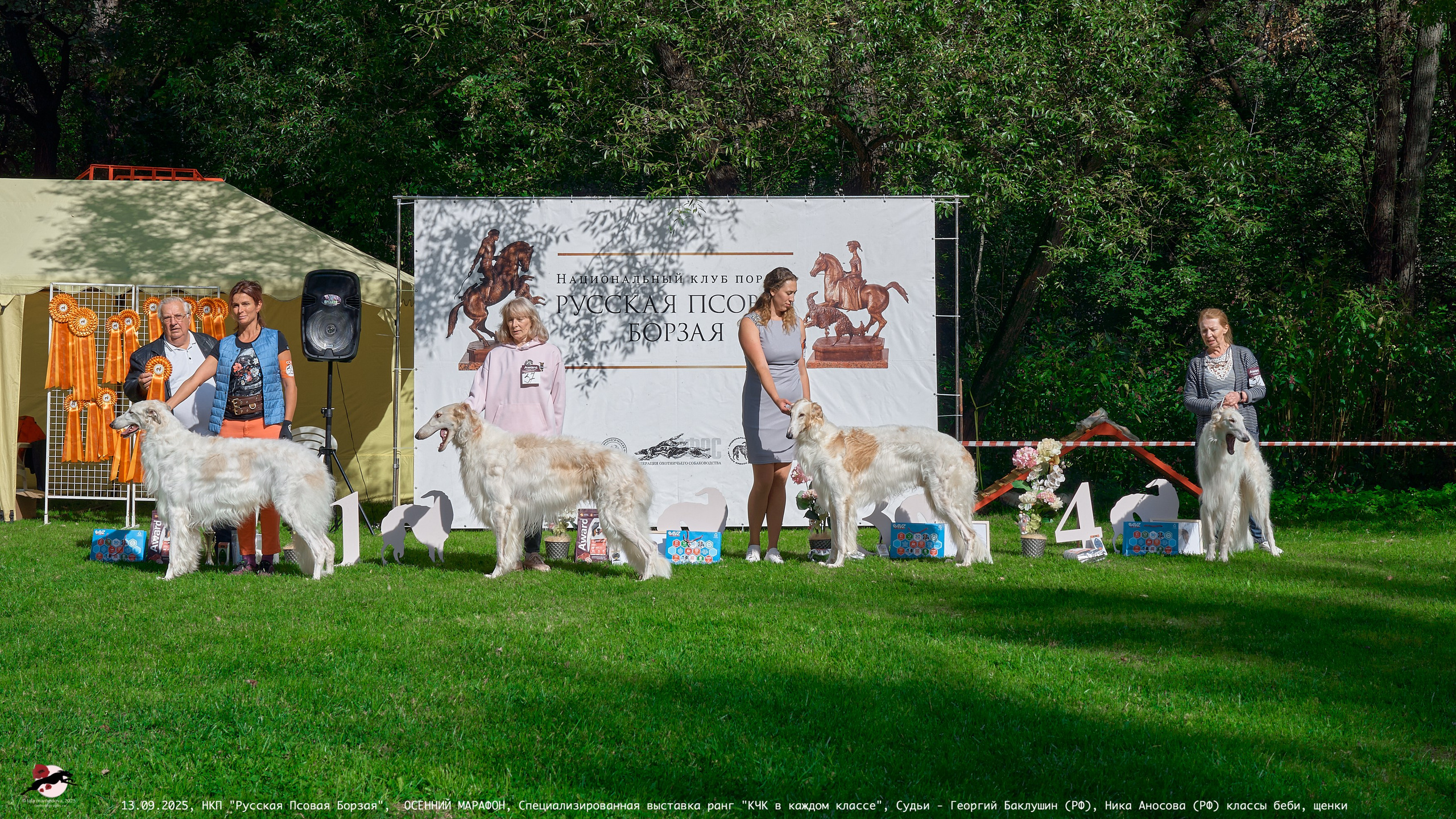 ОСЕННИЙ МАРАФОН | Специализированная выставка породы Русская Псовая Борзая ранг "КЧК в каждом классе"