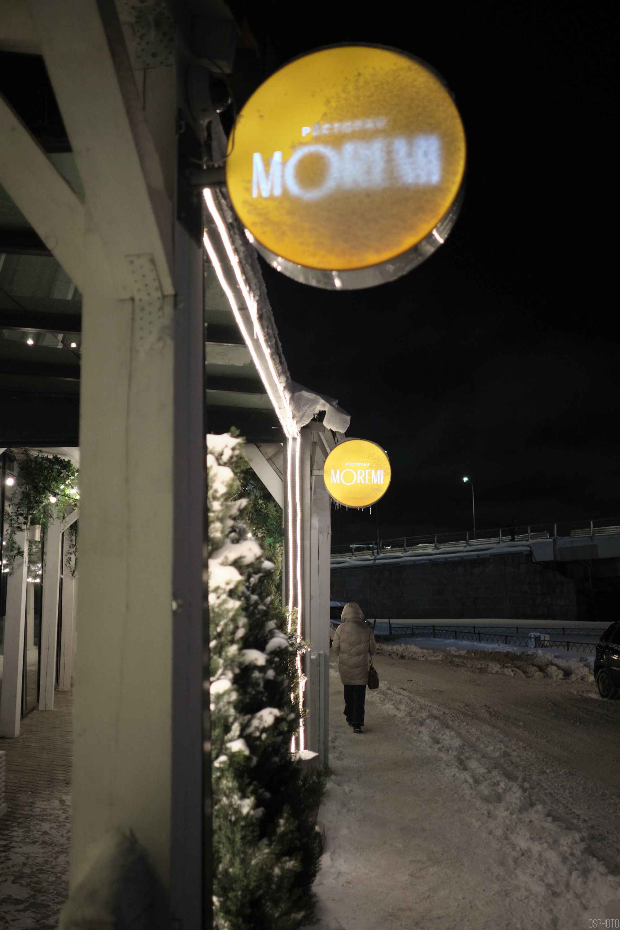 Снег и туман в Санкт-Петербурге. Фотографъ Сергѣевъ. Поймать мгновеніе