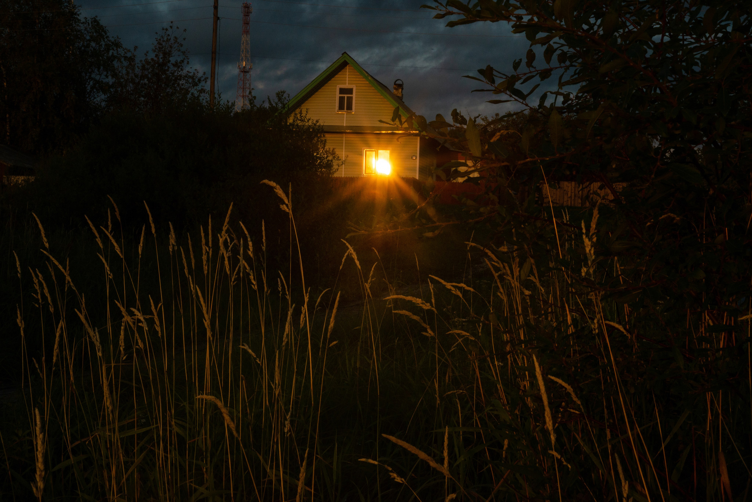 Where the sun shines. Alyona Kochetkova | Photographer and photography educator