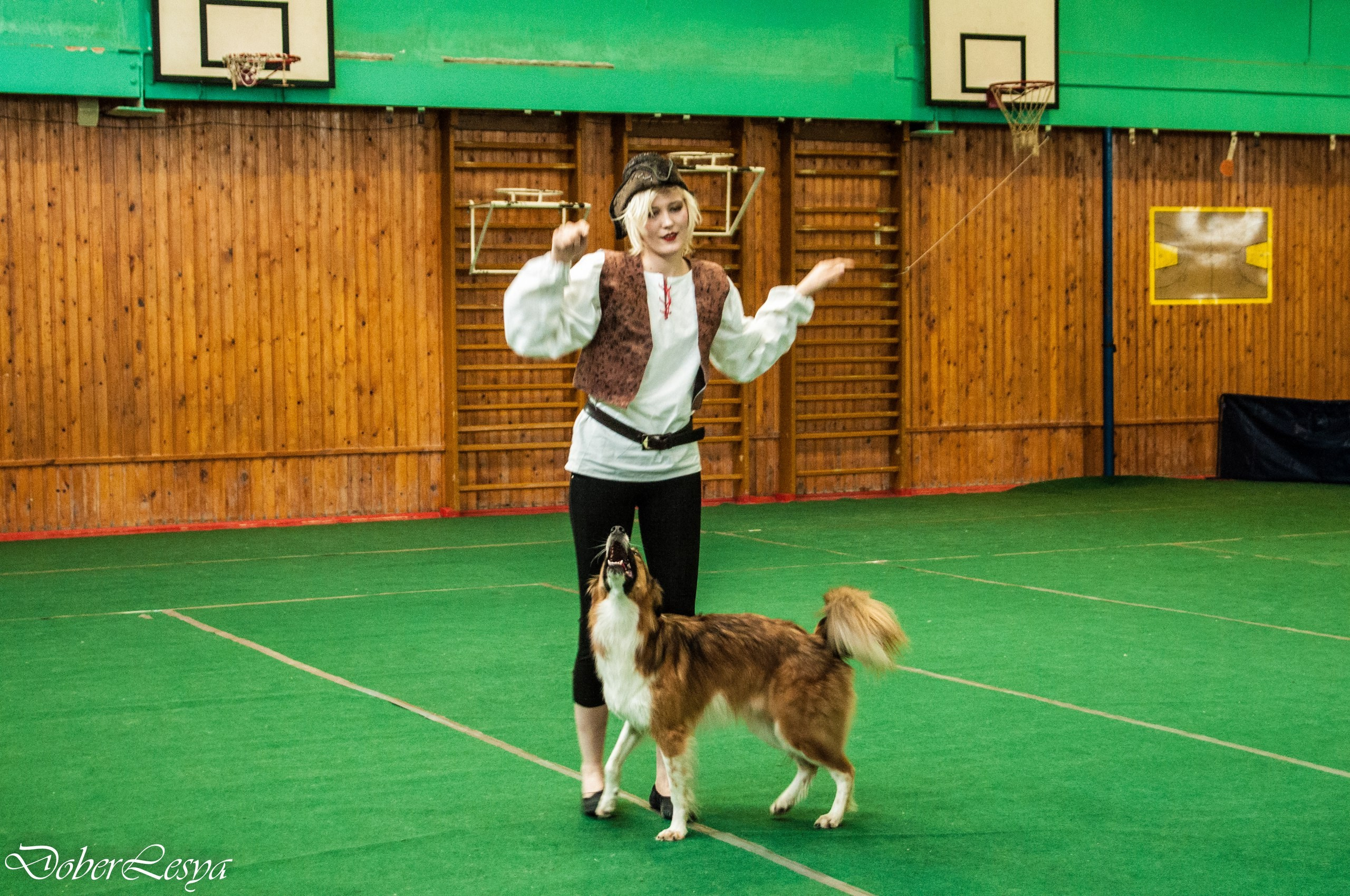 О нас. BLGKV питомник собак