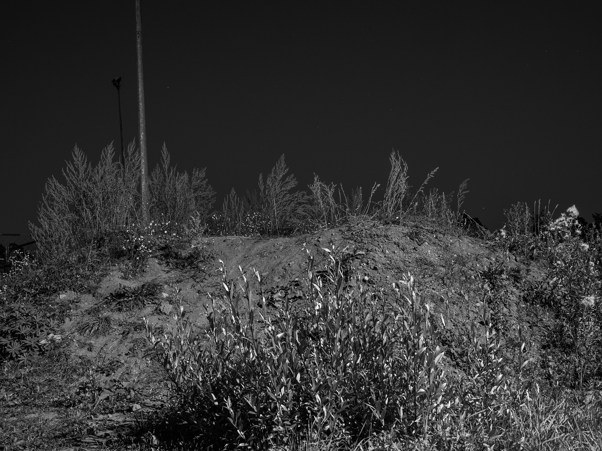 Russia. Documentary and art photographer Alexey Terentyev