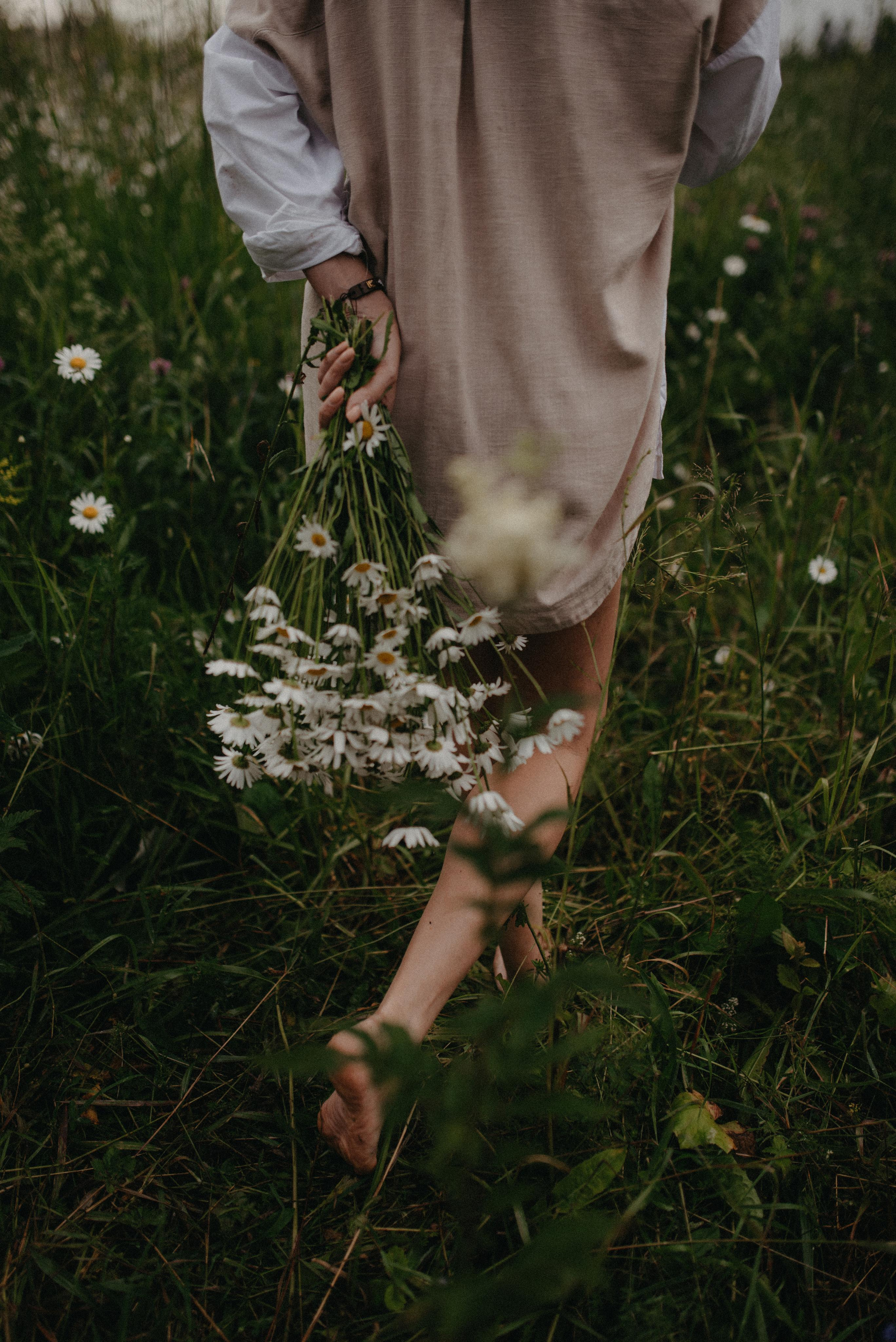 Ромашки в грозу. Главная