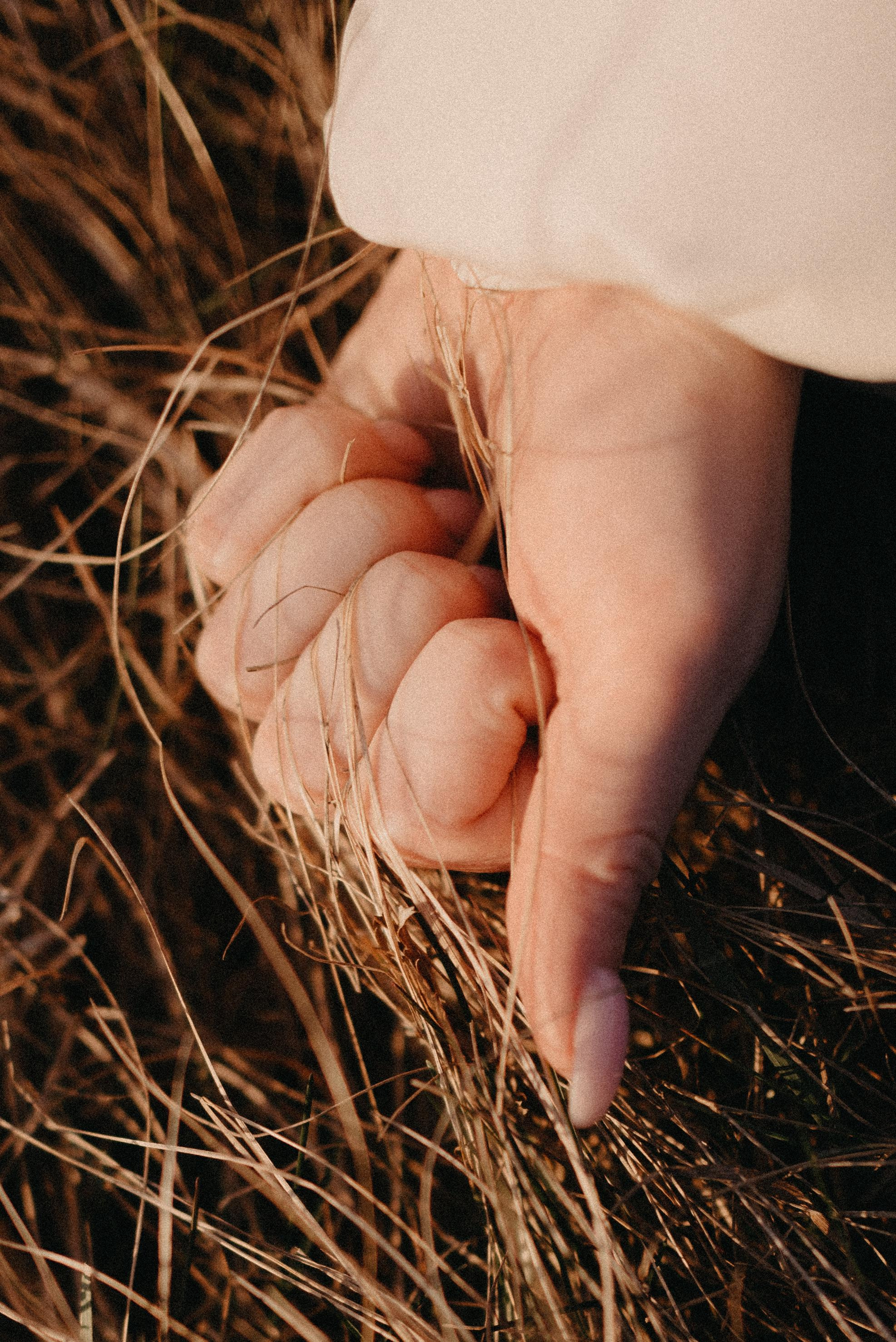 Закат в приятной компании. Главная