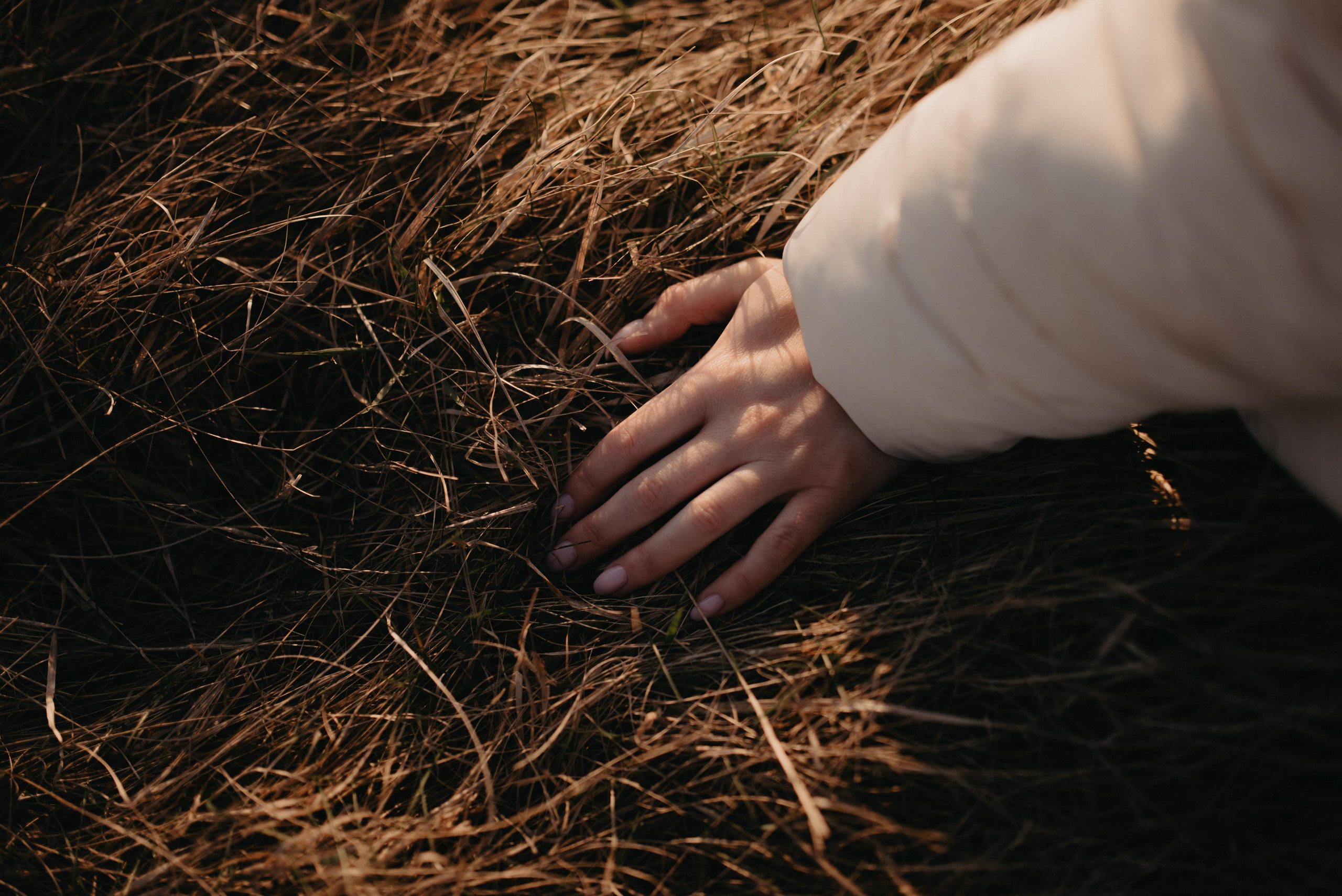 Закат в приятной компании. Главная