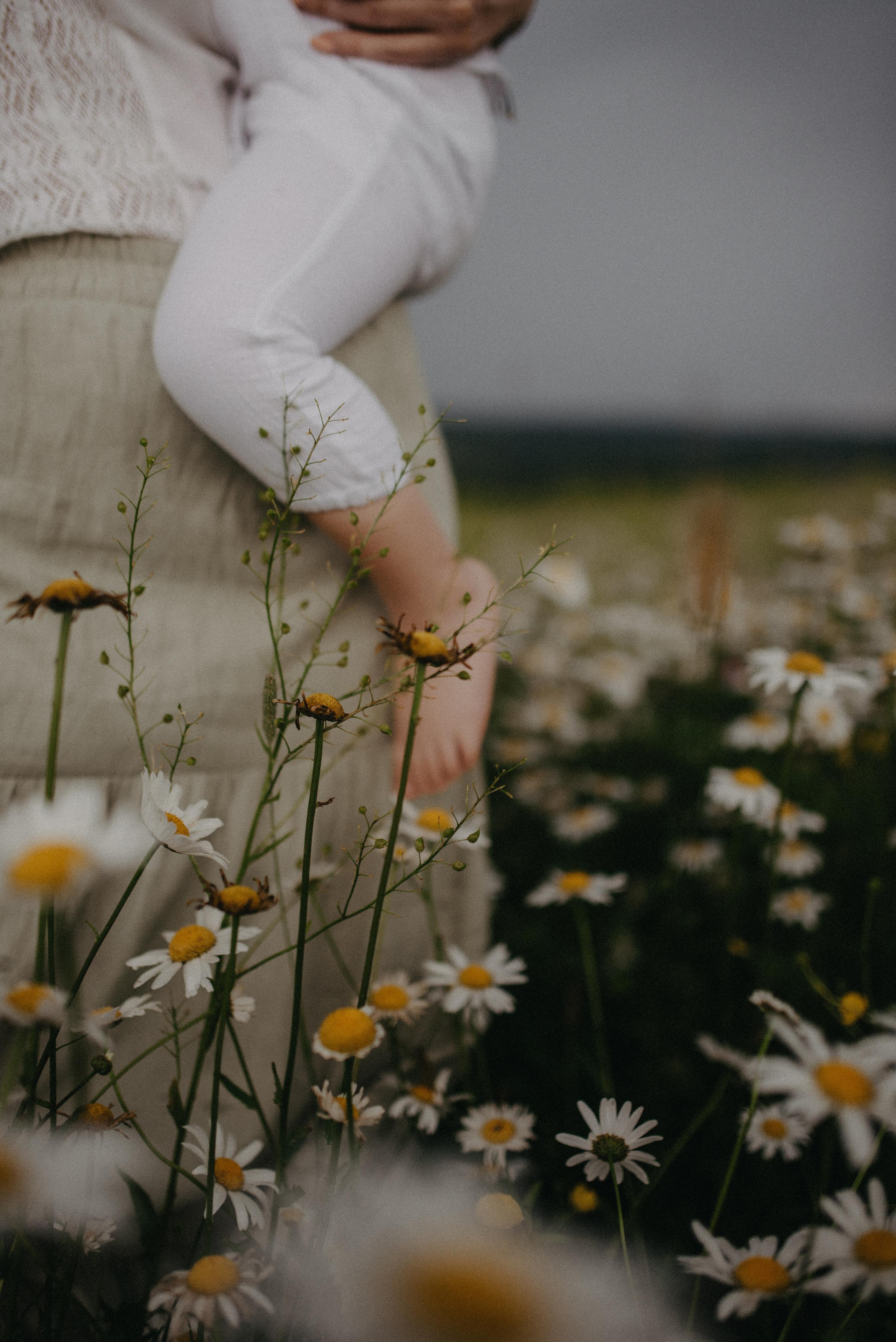 Ромашки в грозу. Главная