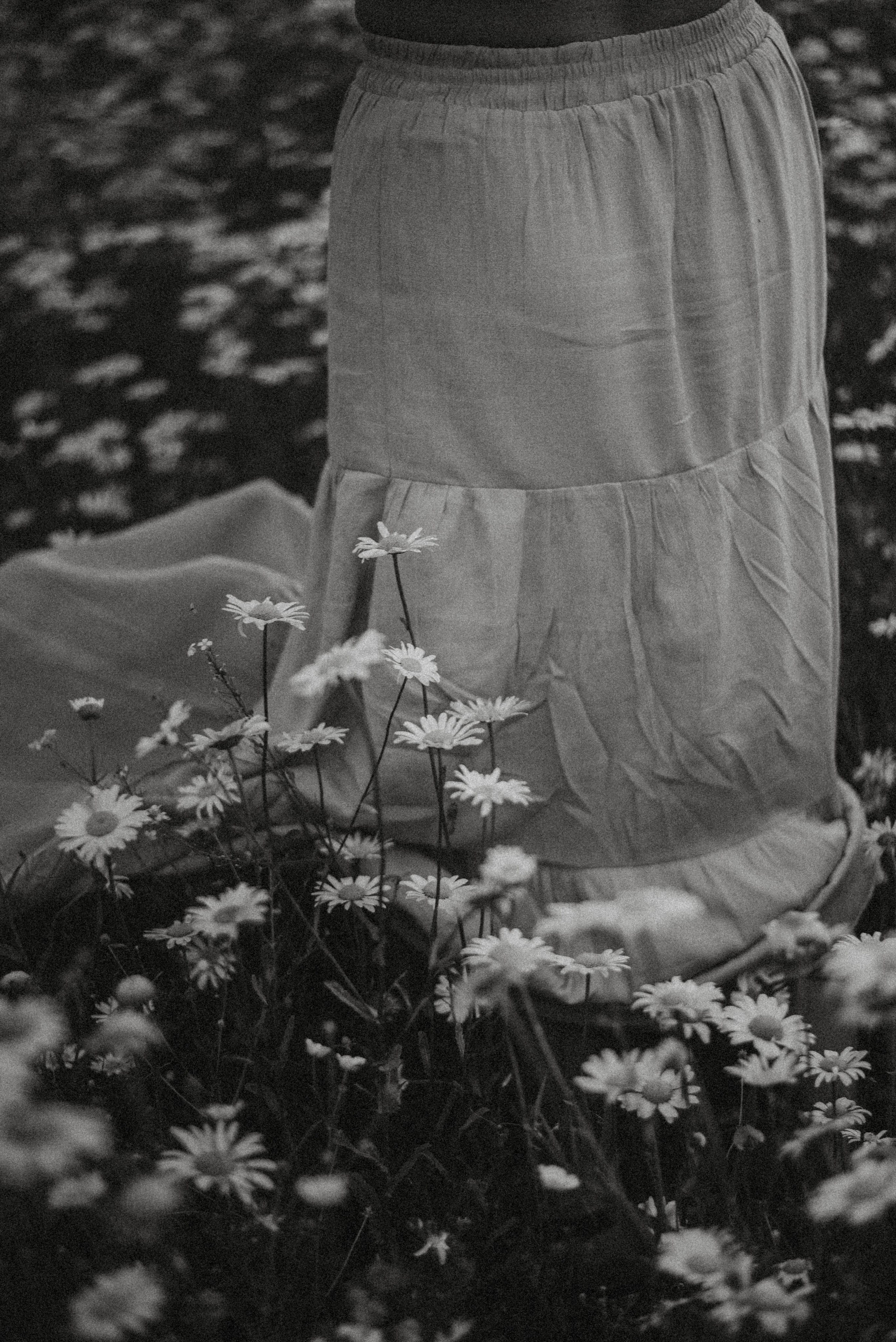 Ромашки в грозу. Главная