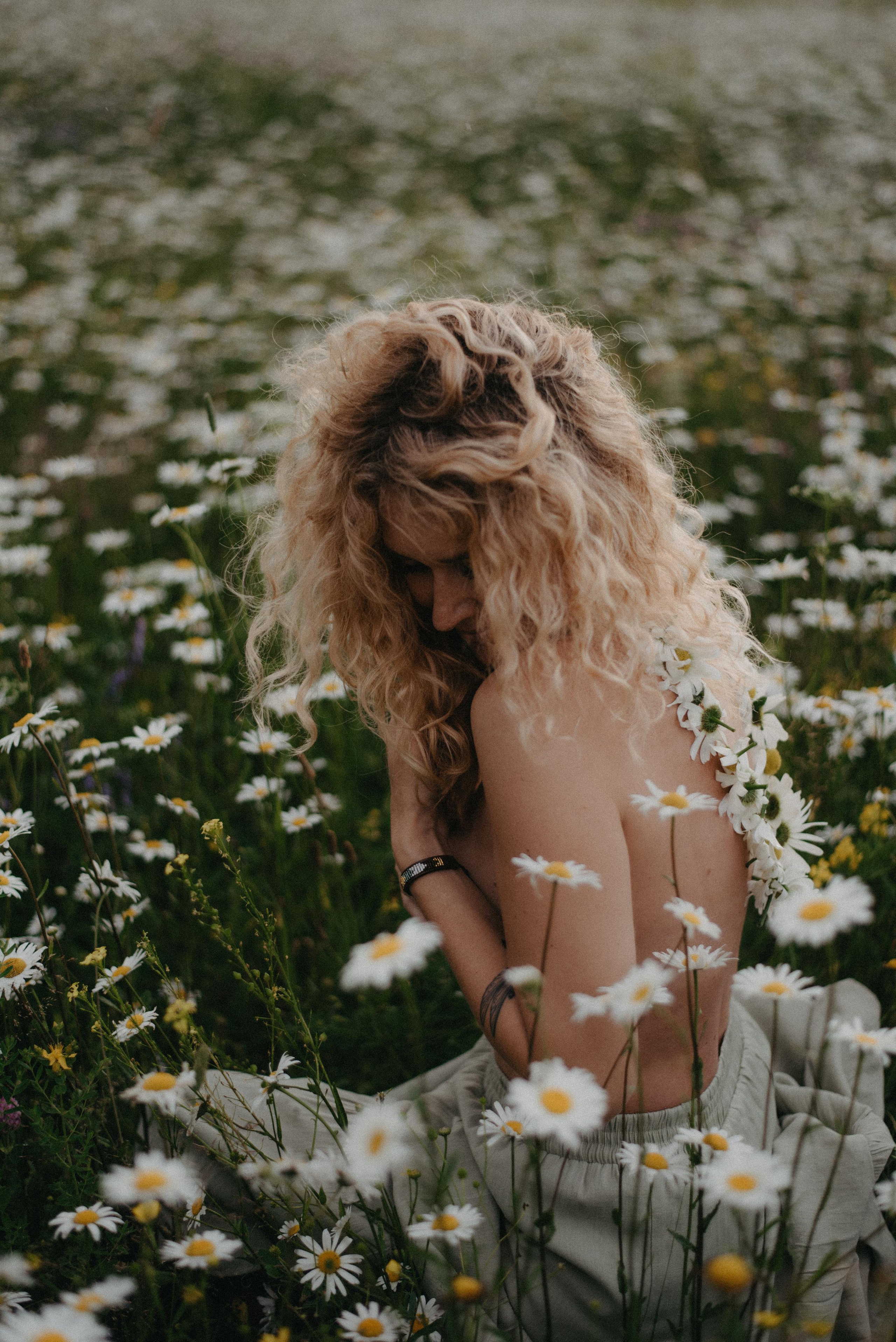 Ромашки в грозу. Главная