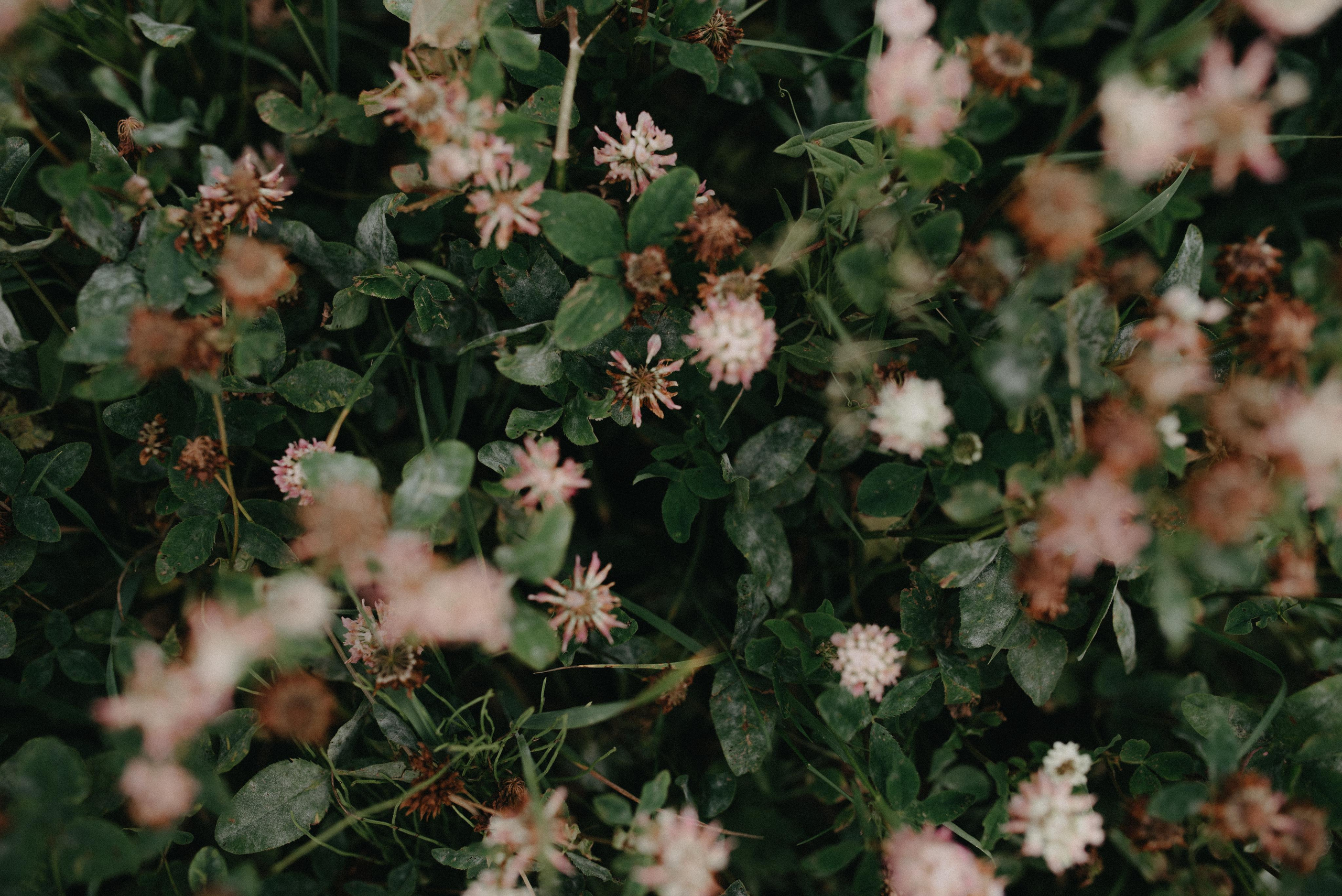 Свадьба Димы и Насти. Главная