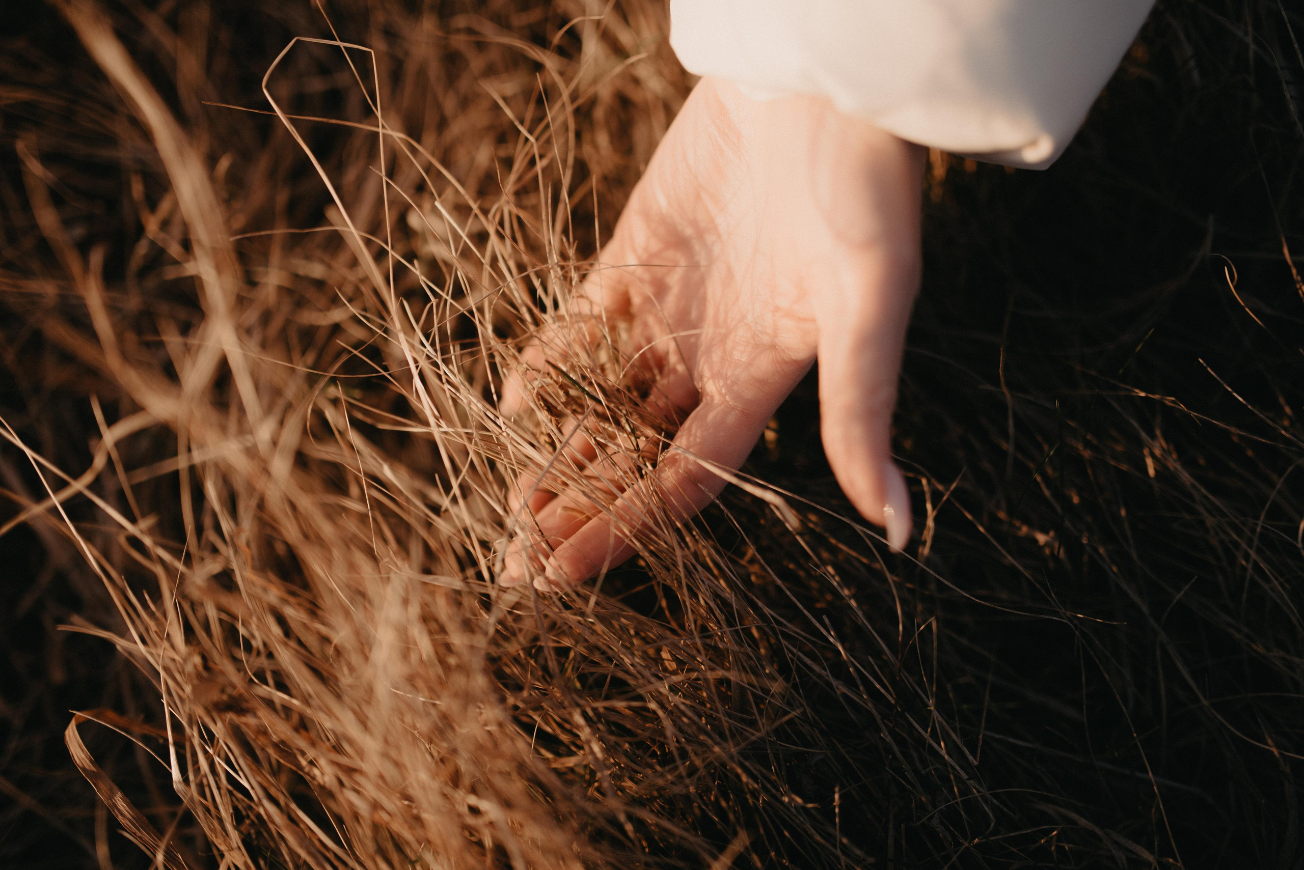 Закат в приятной компании. Главная