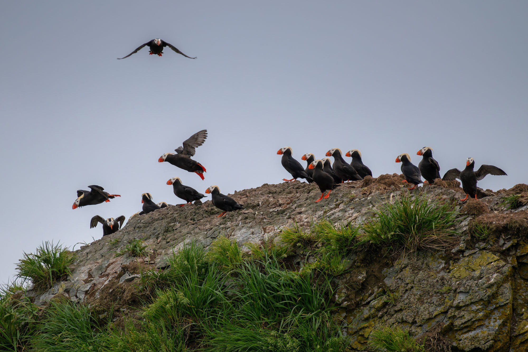 Фотоэкспедиция по Шантарам, к острову Ионы и полуострову Кони