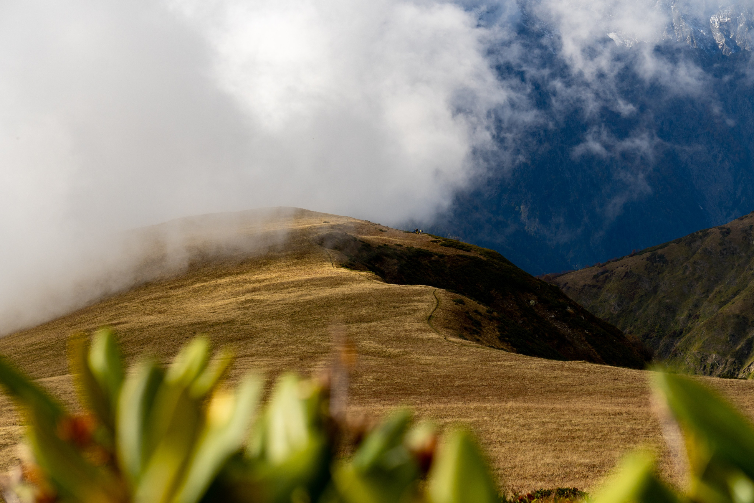 Горный фотограф в Красной Поляне