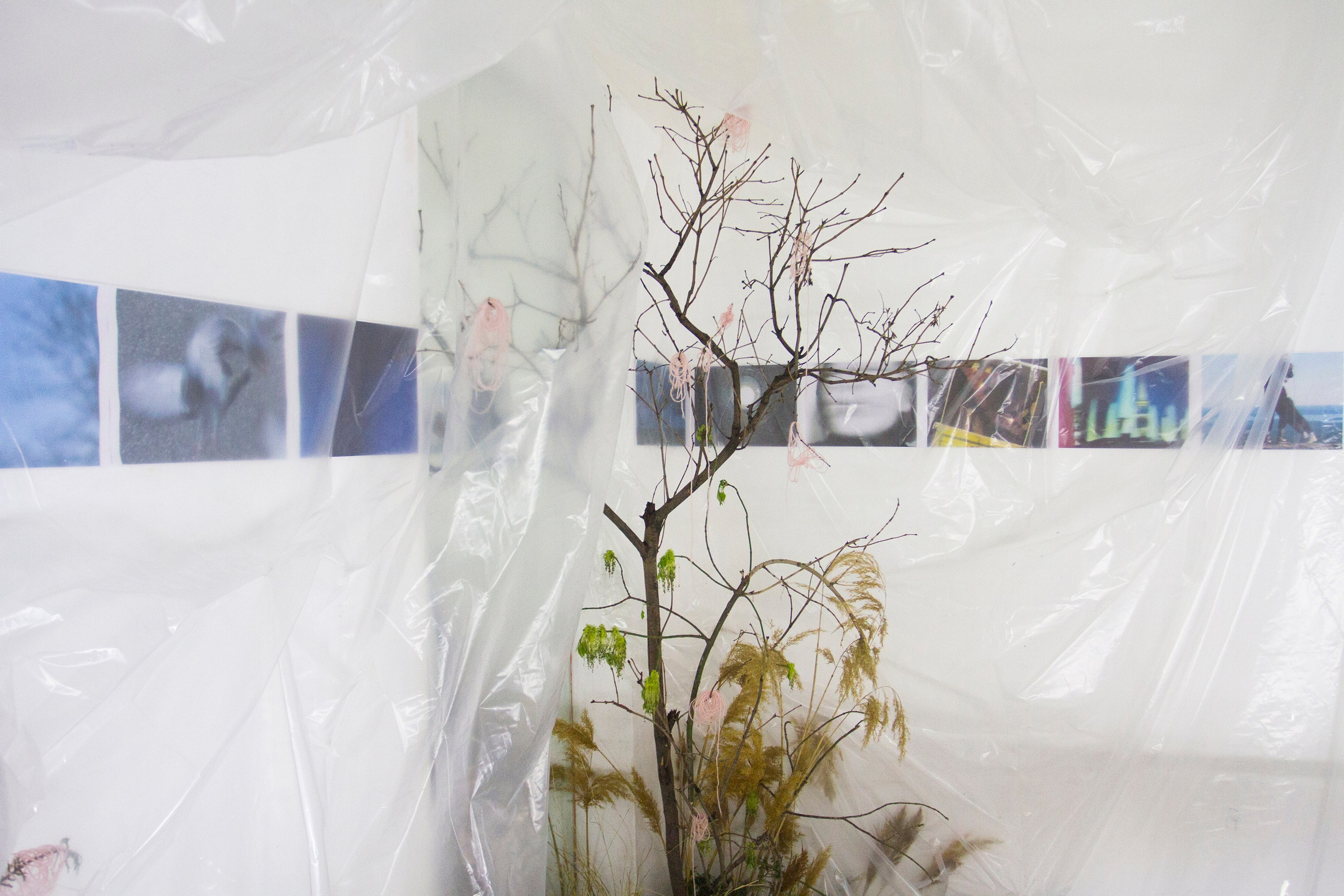 2024, The exhibition «How Do You Smell?». KST