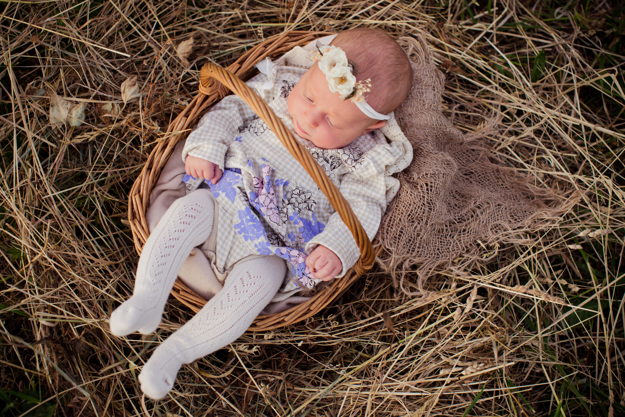 Семейные съёмки на природе. Главная