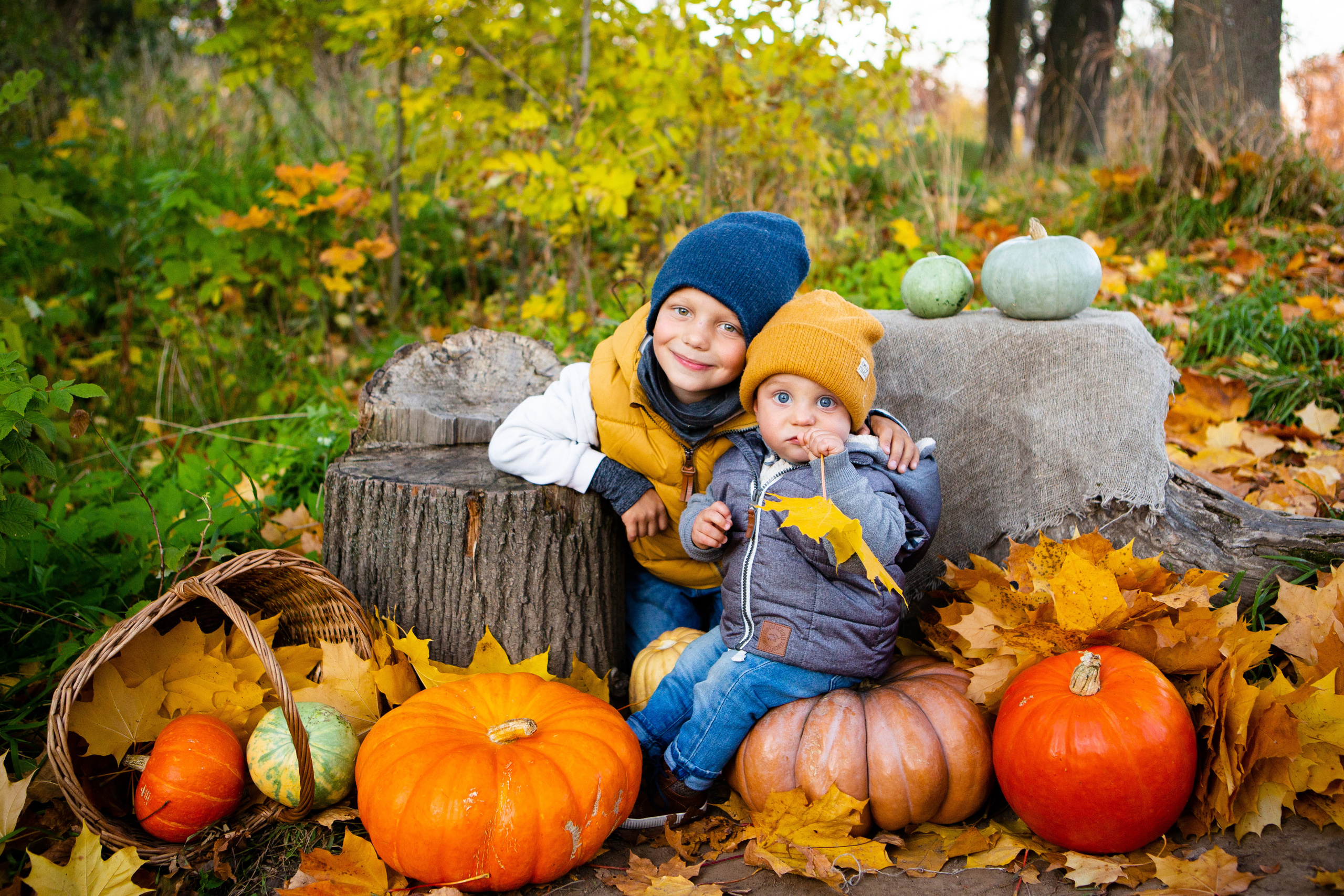 Семейные съёмки на природе. Главная