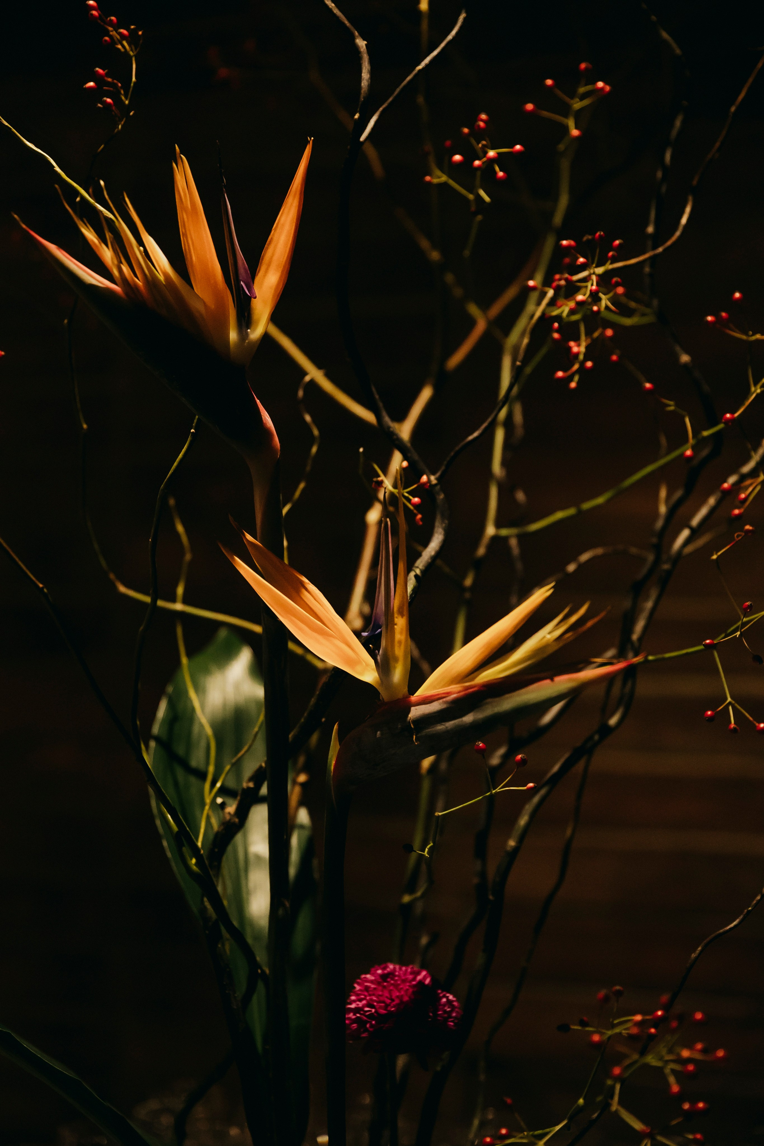 День рождения Ирины Зарьковой, IKURA, Moscow. «Птичка на проводе»: информационный портал в Москве