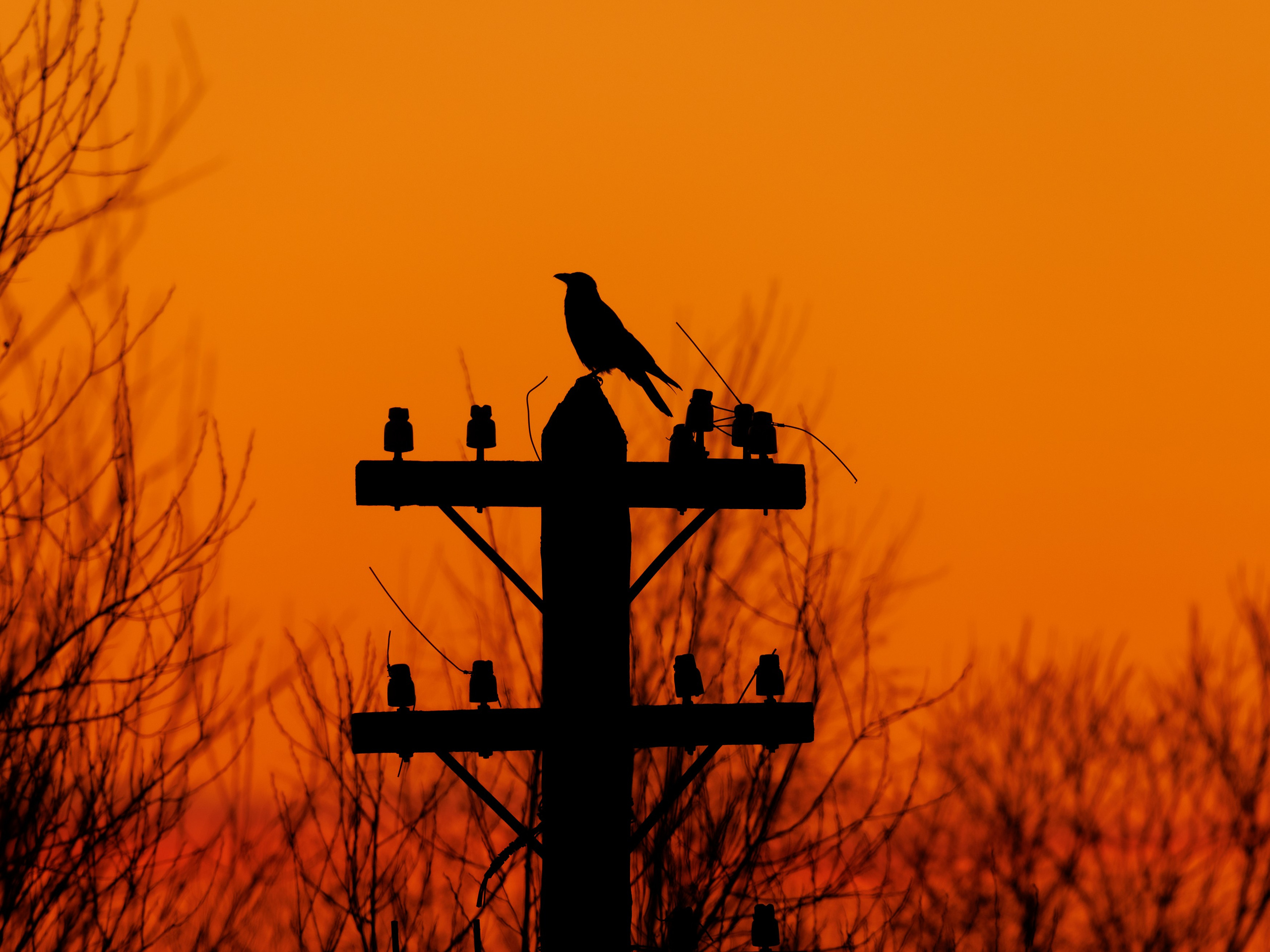 Мыс Любви в объятиях ночи. Владимир Петухов — фотограф в г. Кинешма. Оператор FPV