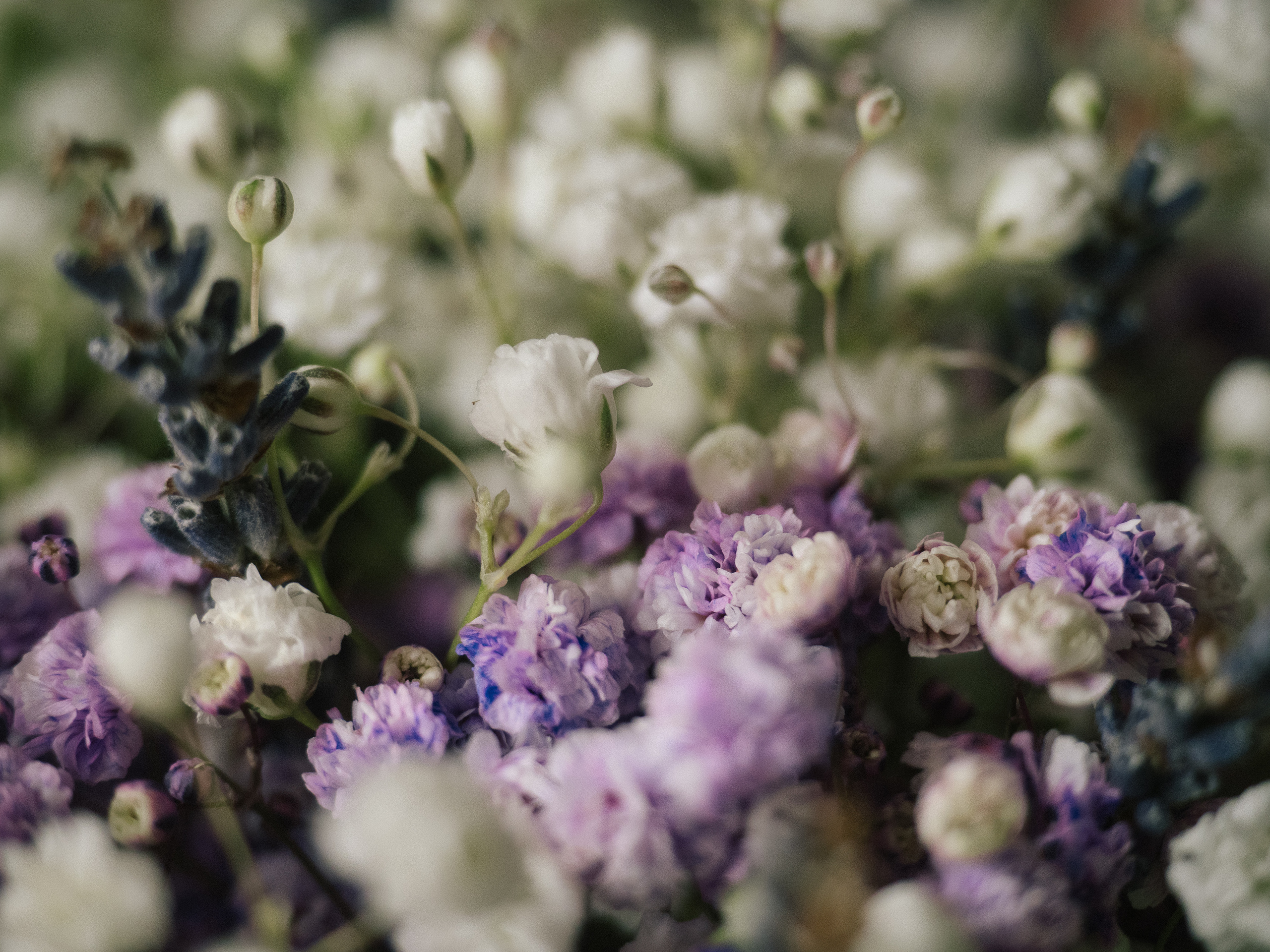 Свадьбы. Алёна Орлова Портретный фотограф Москва