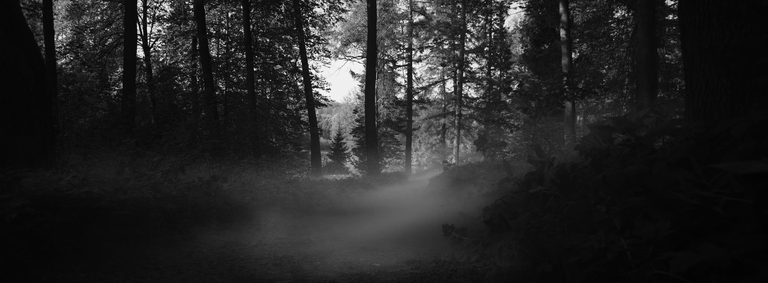 Усадьба Середниково. Художник | архитектор | дизайнер |Сергей Ратчин в Москве
