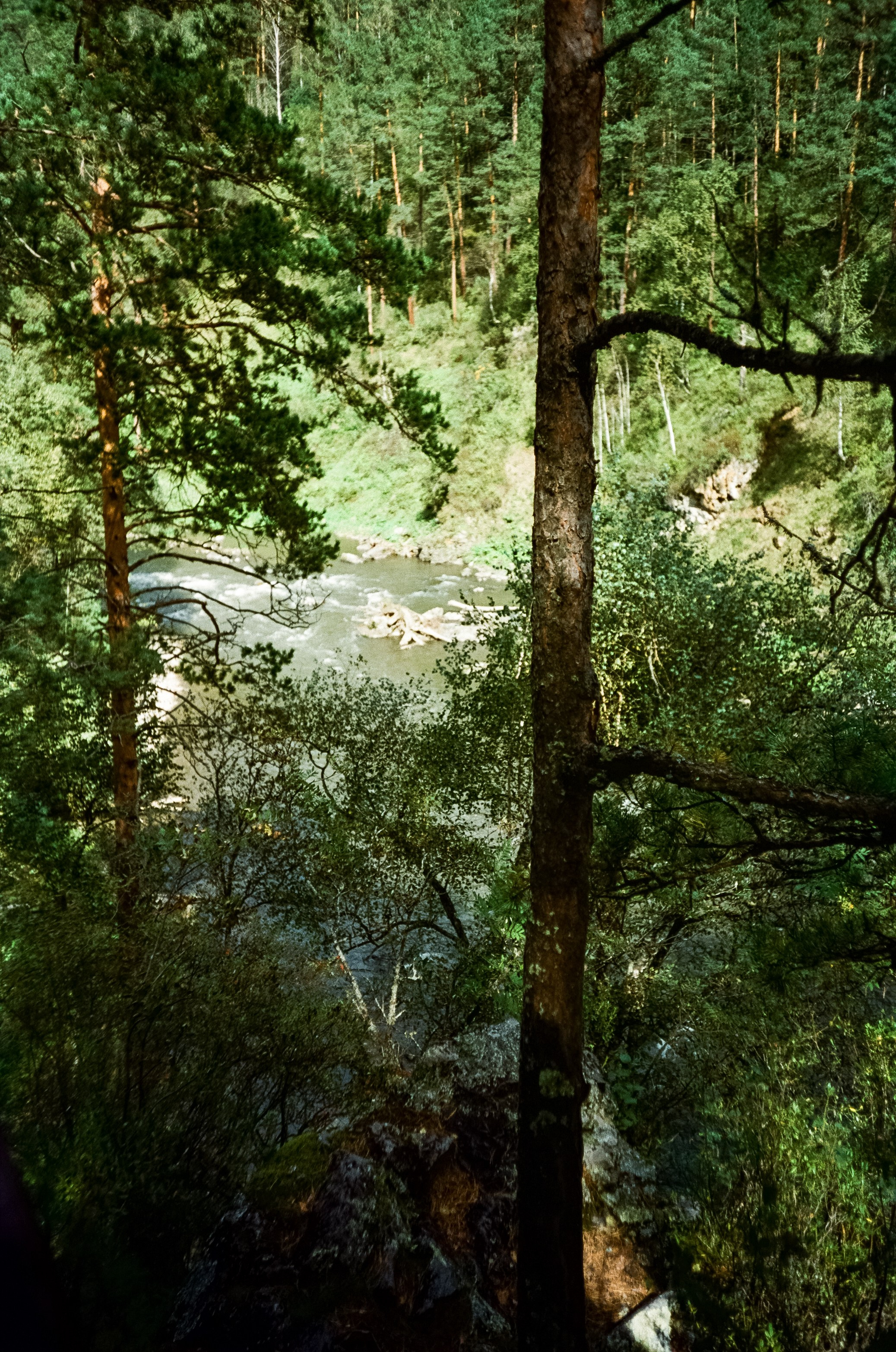 Ботанический сад в солнечный день. Фотограф-документалист Мария Осокина