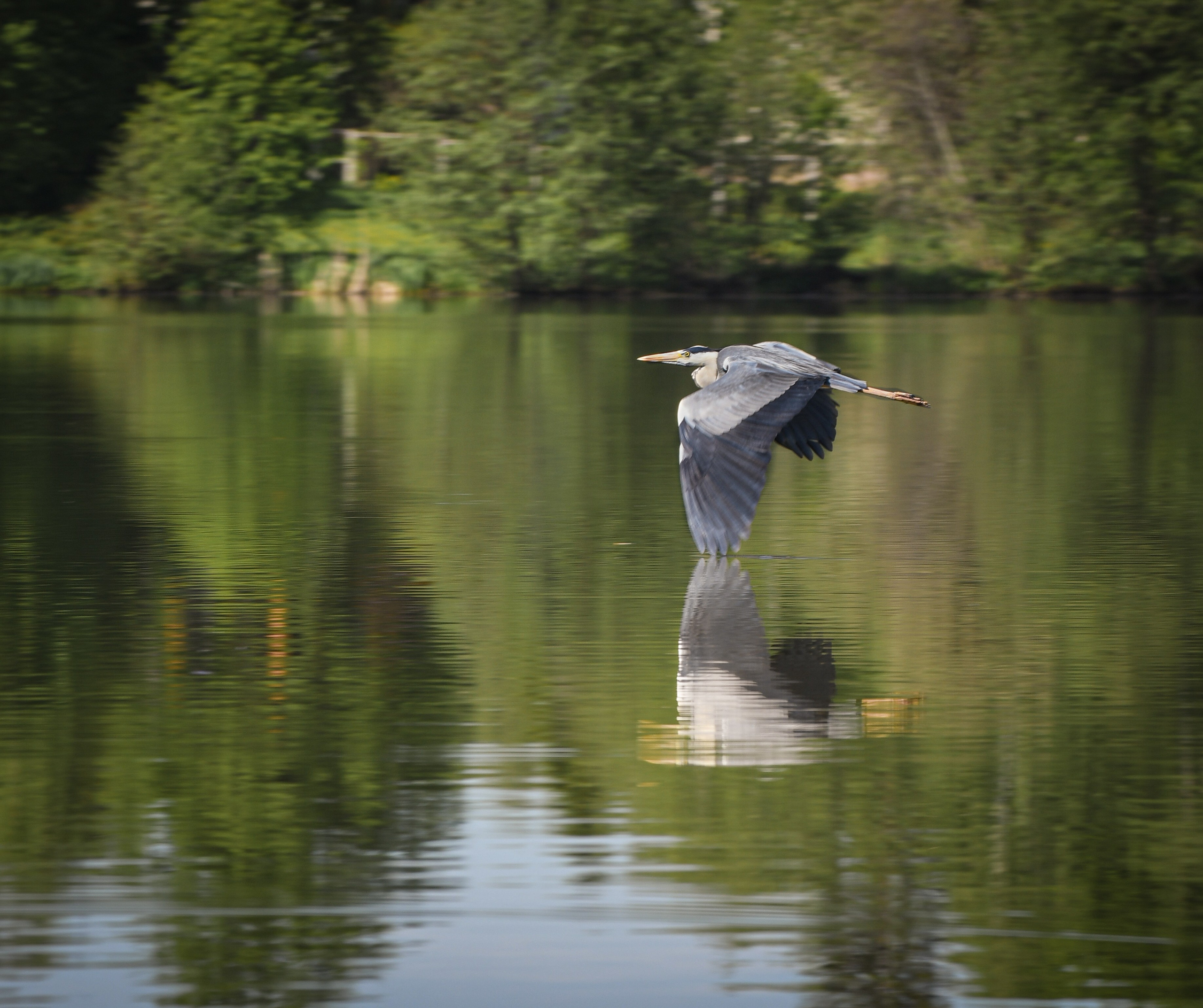 В созвучии с природой. Фотограф Светлана В. Пронина, Москва