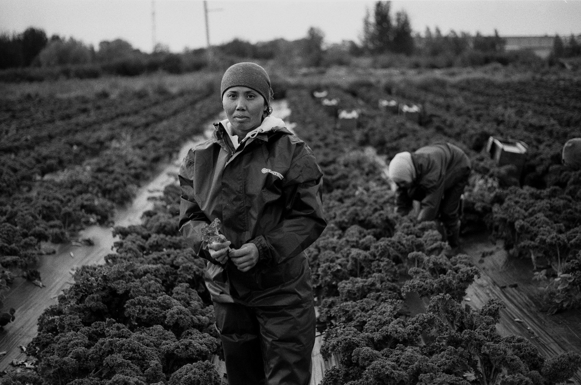 SuperFoodFarm. The history of the farm. Another person Pavel Potseluev. A photographer in 2025