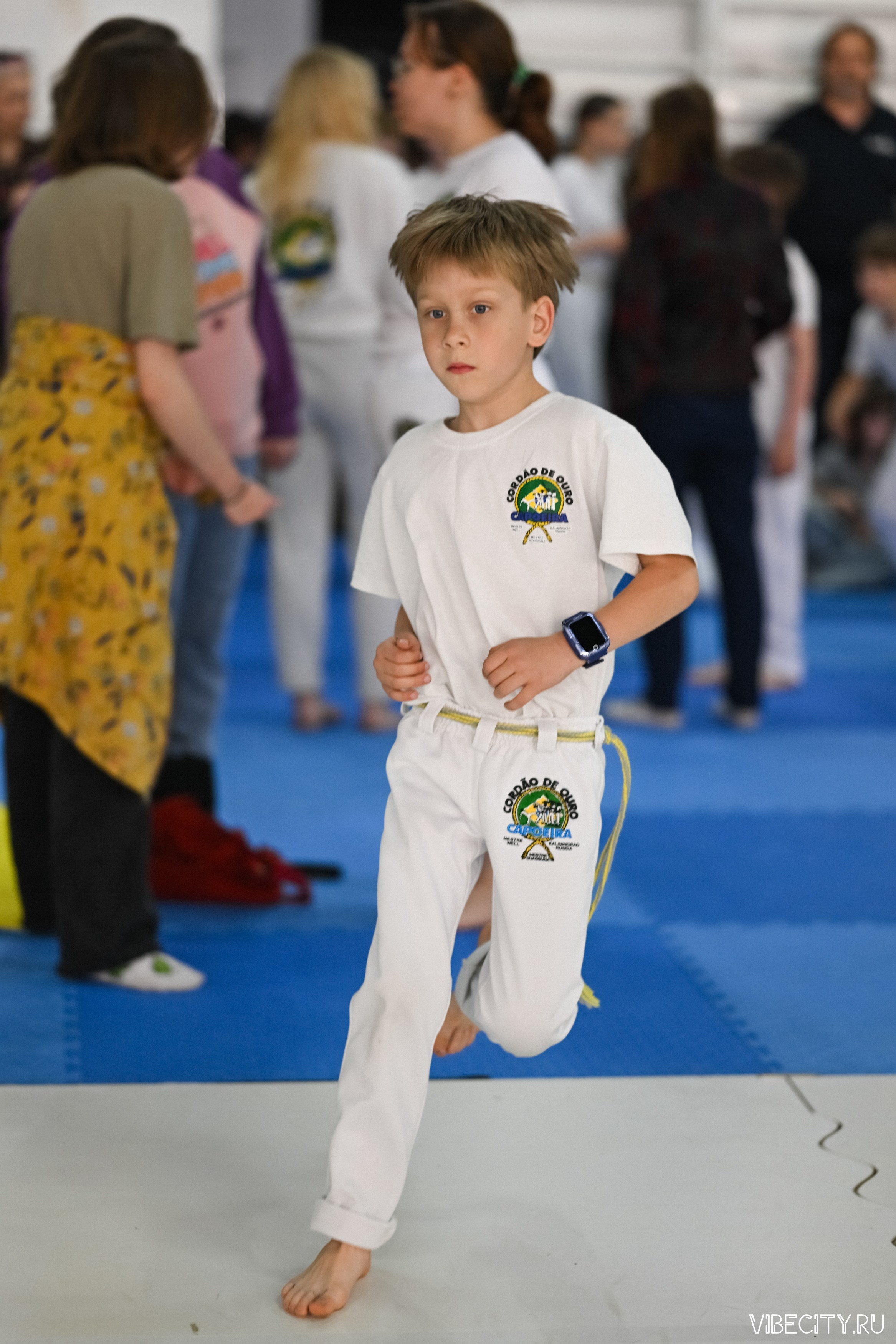 Capoeira: 4-е batizado e Troca de cordao. VIBECITY.RU Вайб Сити Ру Фоторепортажи Фотоотчеты Калининград