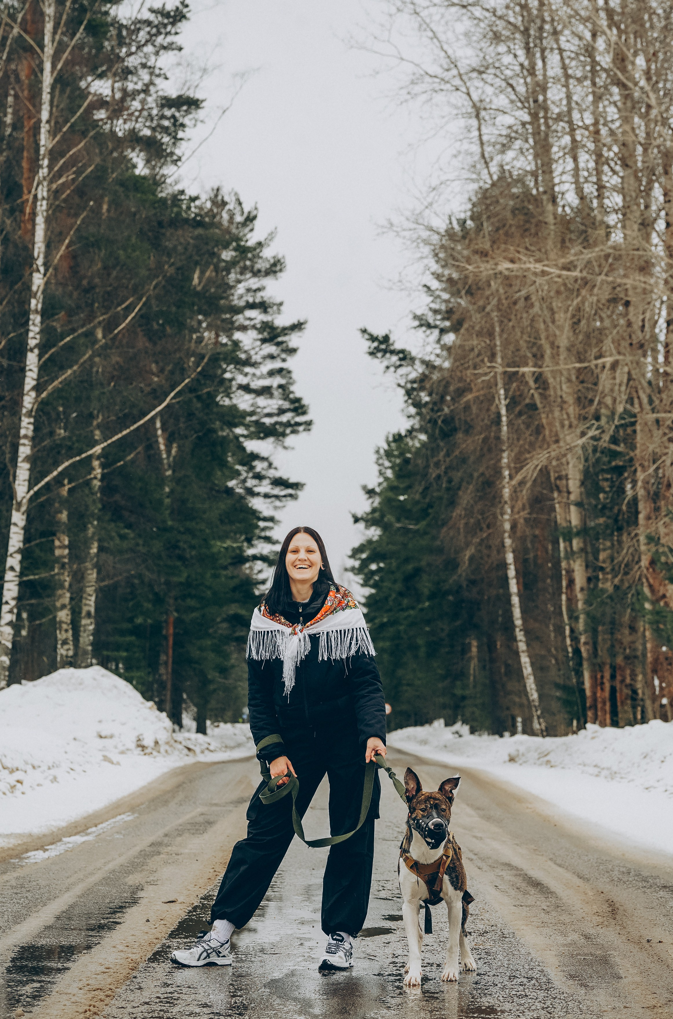 Гарм и Юна. Фотограф анималист в Спб недорого Олеся Майорова