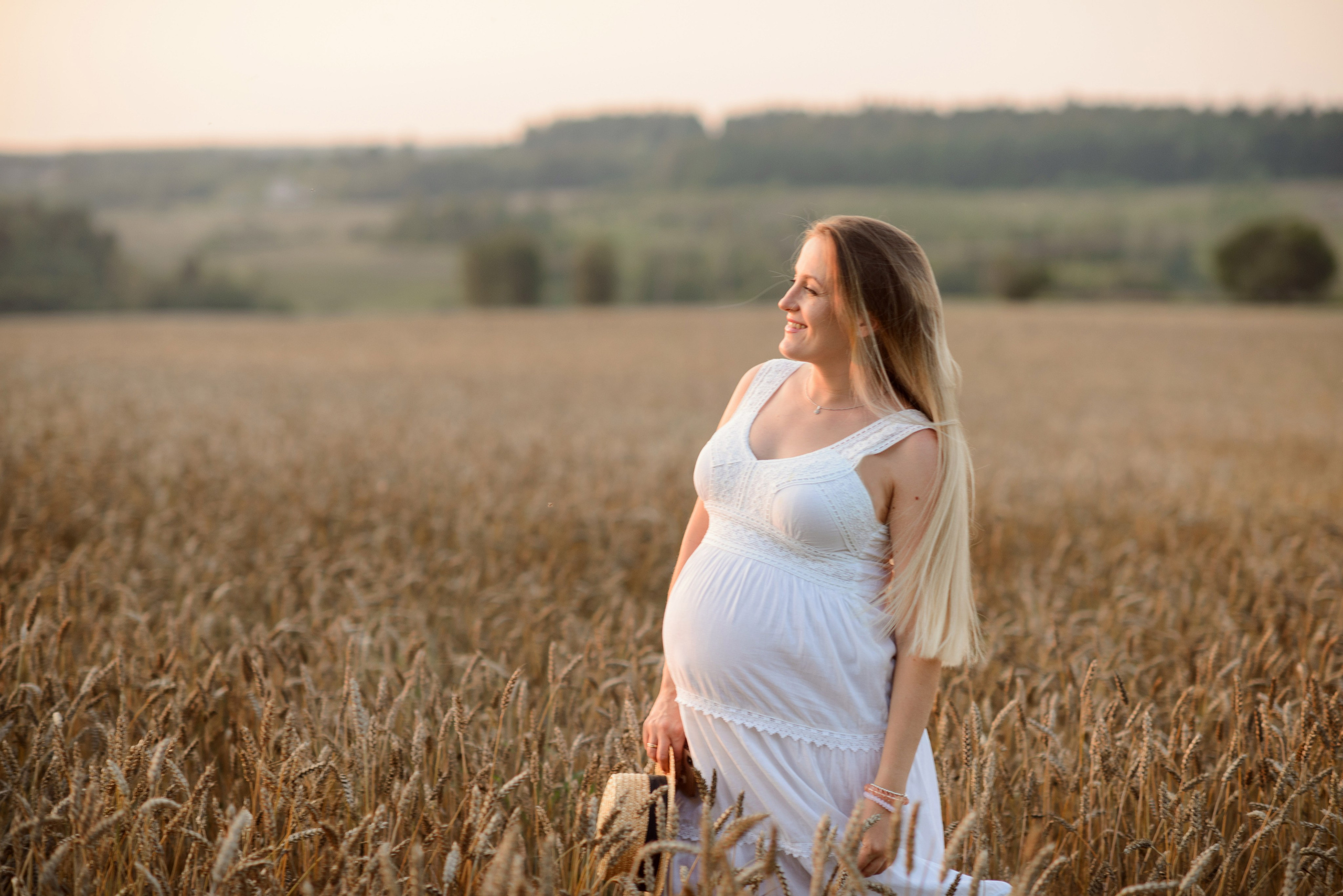 Photo shoot, a pregnant woman in a wheat field at sunset