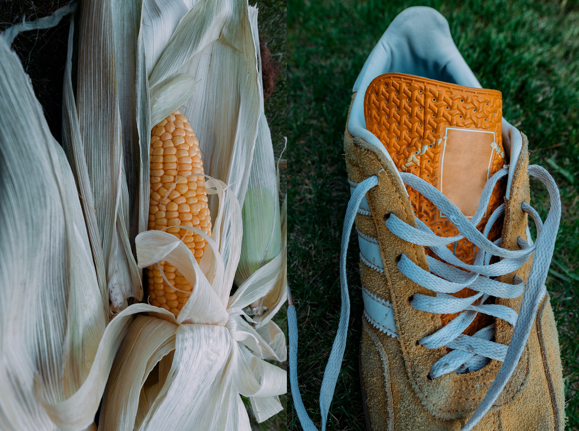 кроссовки, кукуруза, шнурки, фотография, зеленый