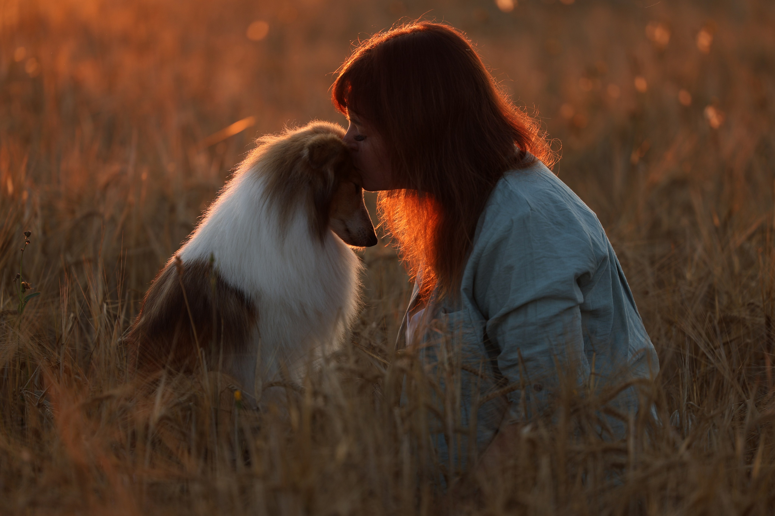Онлайн-курс по съемке собак. Фотограф Анастасия Ветковская, Москва
